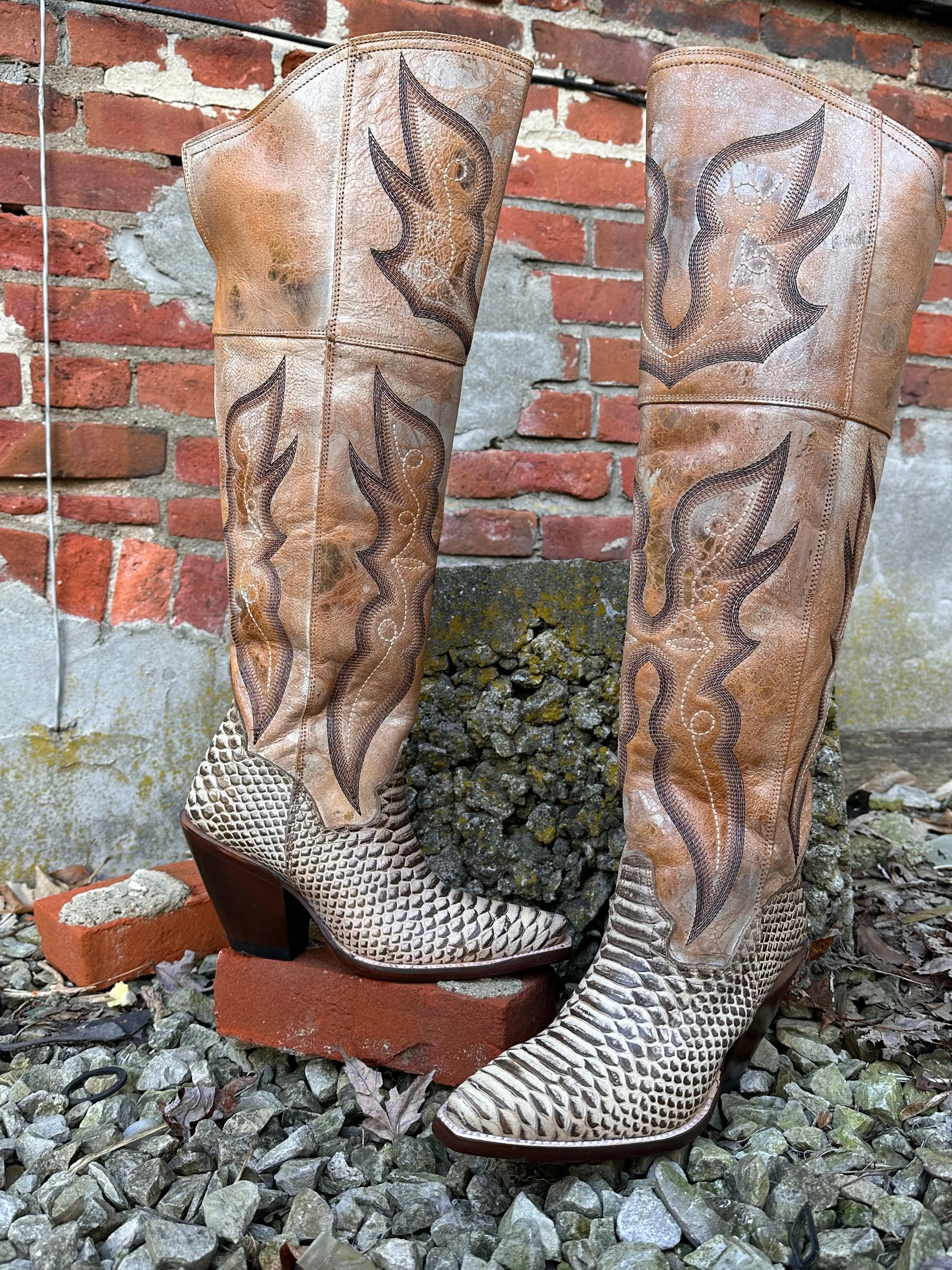 Dan Post Women's Aretha Honey Faux Python Leather Tall Fashion Cowgirl Boot DP4399 Smooth Form