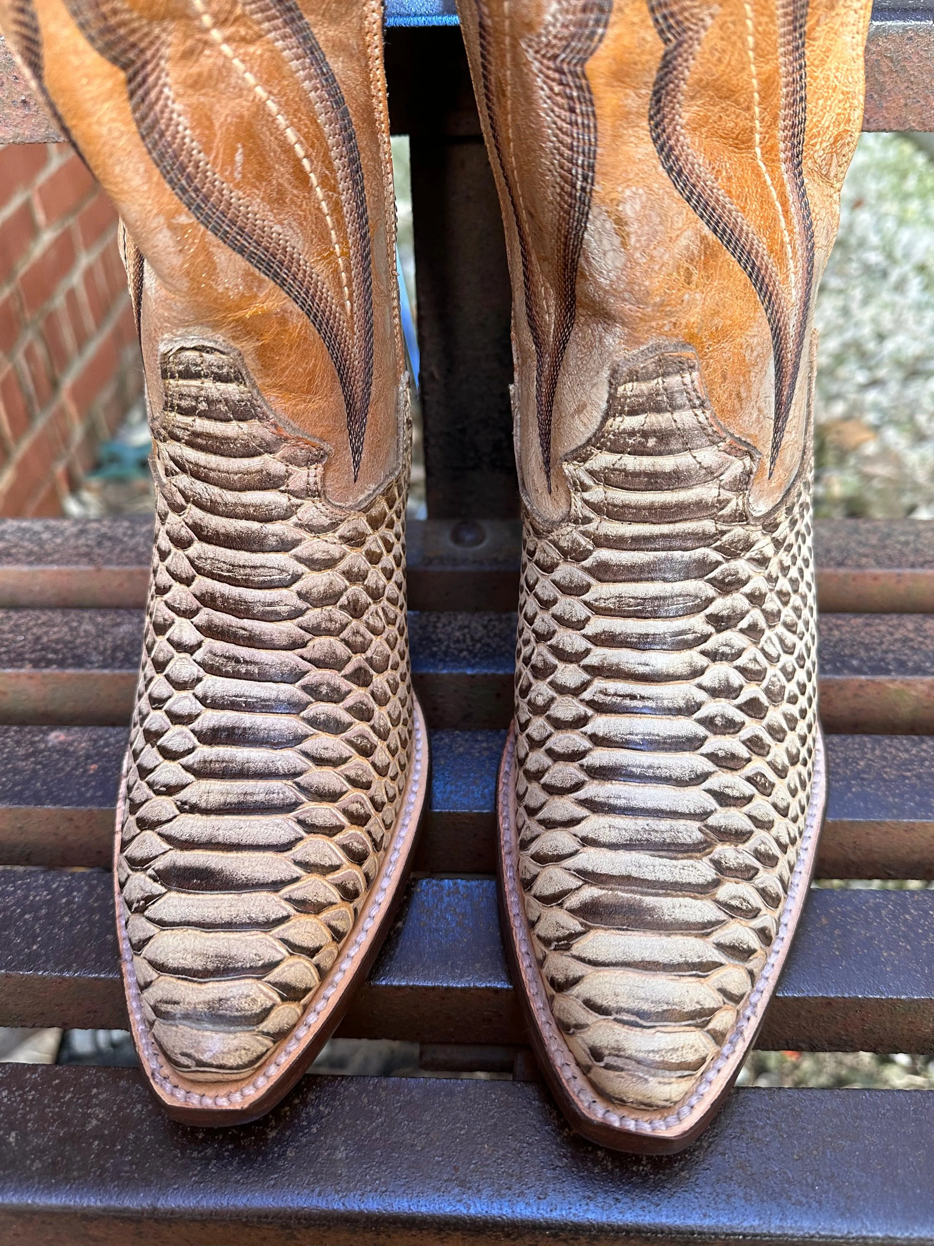 Functional All-Weather Design. Dan Post Women's Aretha Honey Faux Python Leather Tall Fashion Cowgirl Boot DP4399