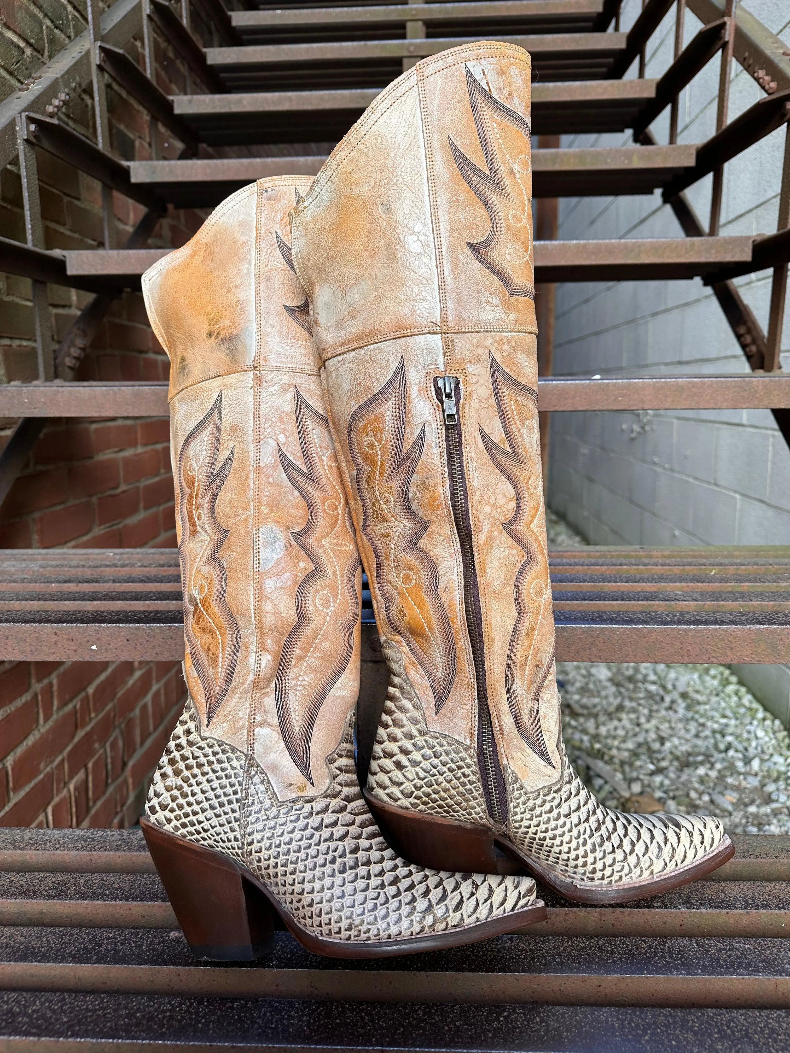 ErgonomicDesign Dan Post Women's Aretha Honey Faux Python Leather Tall Fashion Cowgirl Boot DP4399