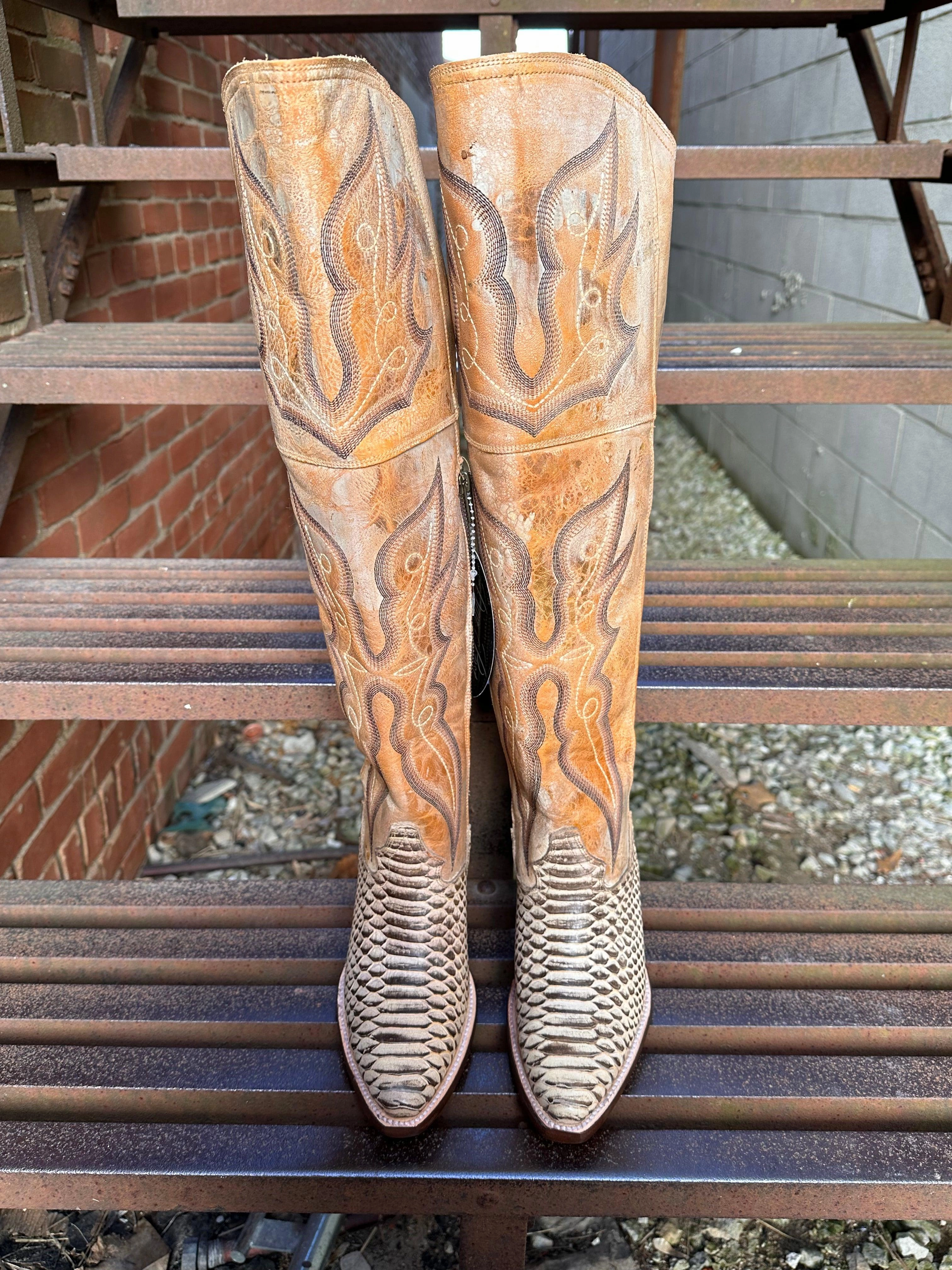 Simple Style Supportive sole Dan Post Women's Aretha Honey Faux Python Leather Tall Fashion Cowgirl Boot DP4399