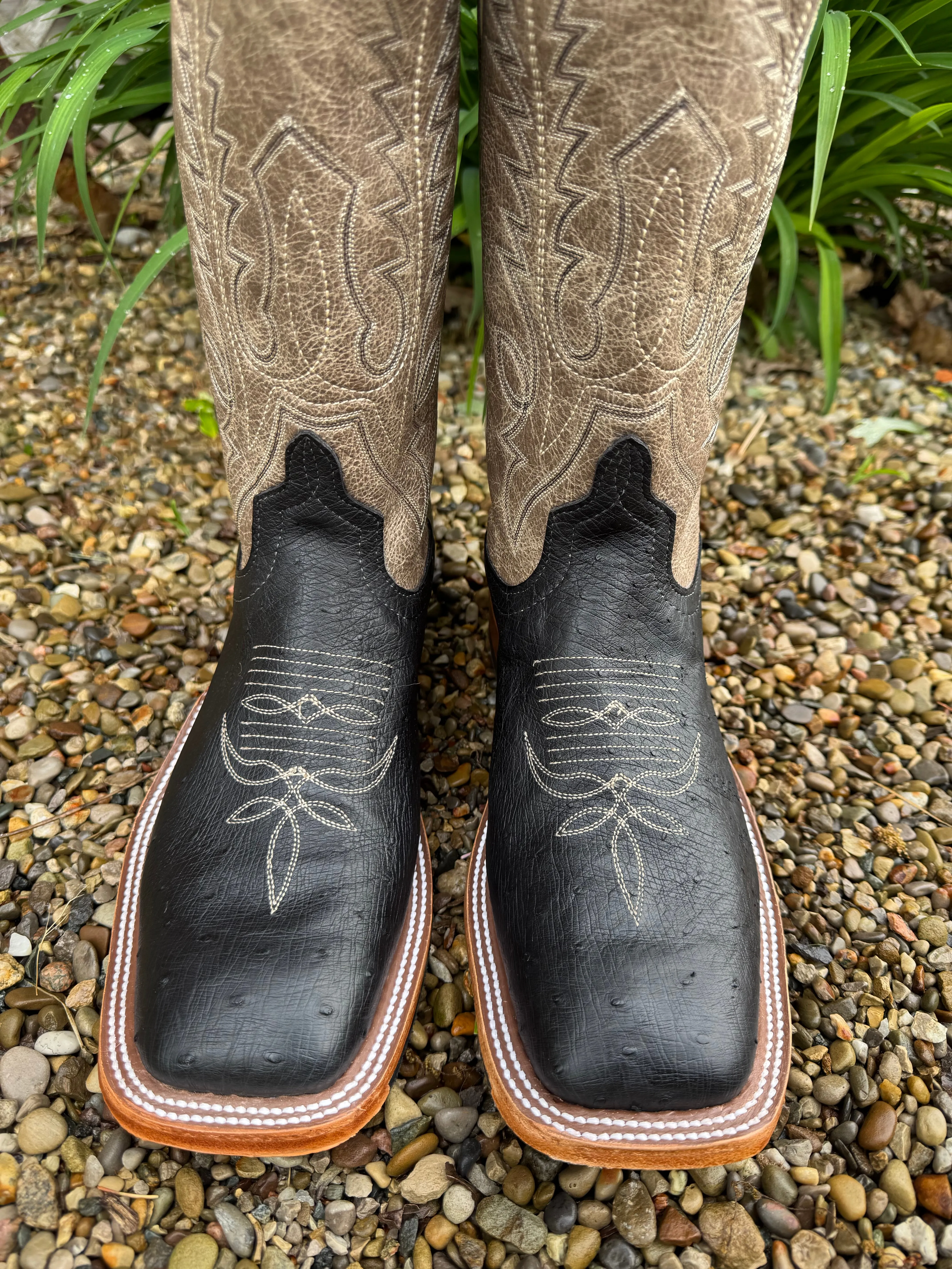 Anderson Bean Men's Black Smooth Ostrich & 13 Outlaw Mushroom Top Square Toe Cowboy Boots 333571 City Travel Clean Silhouette
