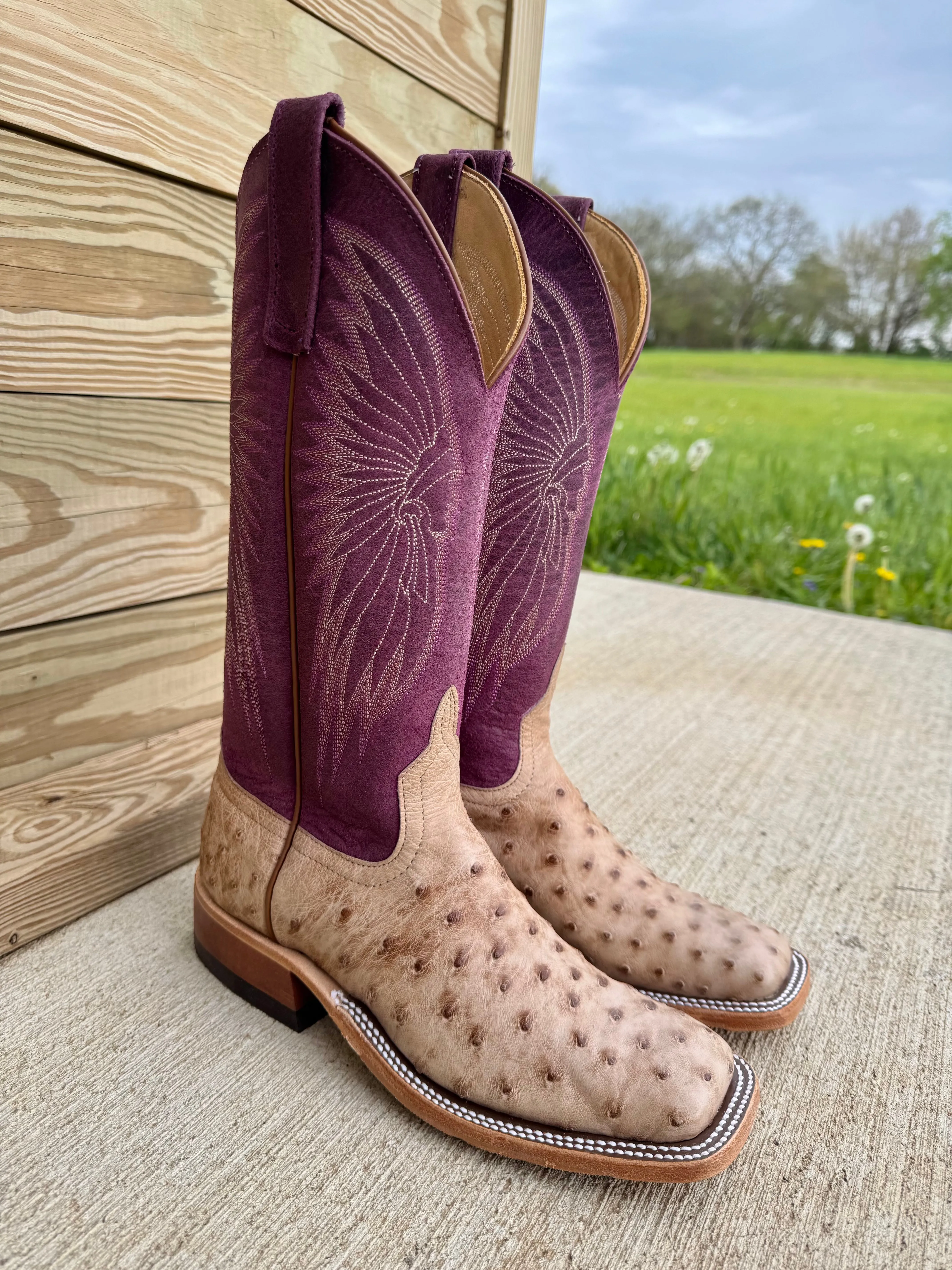 Anderson Bean Women's Tan Vintage Bruciato Full Quill Ostrich & 13 Purple Sangria Sinsation Top Square Toe Cowgirl Boots 360689 Fitness Enthusiast Work Function