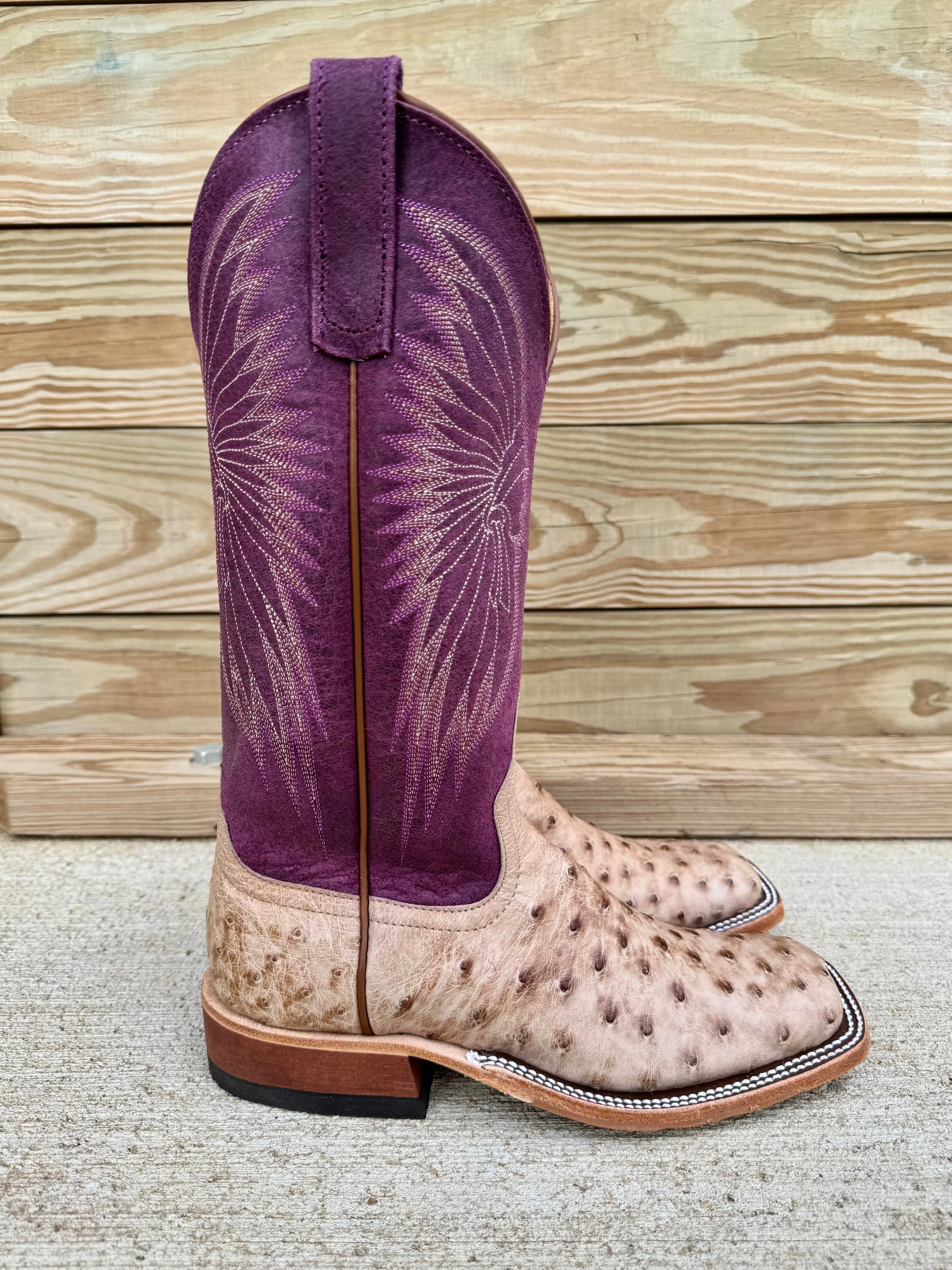 Daily Rugged Easy To Clean Anderson Bean Women's Tan Vintage Bruciato Full Quill Ostrich & 13 Purple Sangria Sinsation Top Square Toe Cowgirl Boots 360689