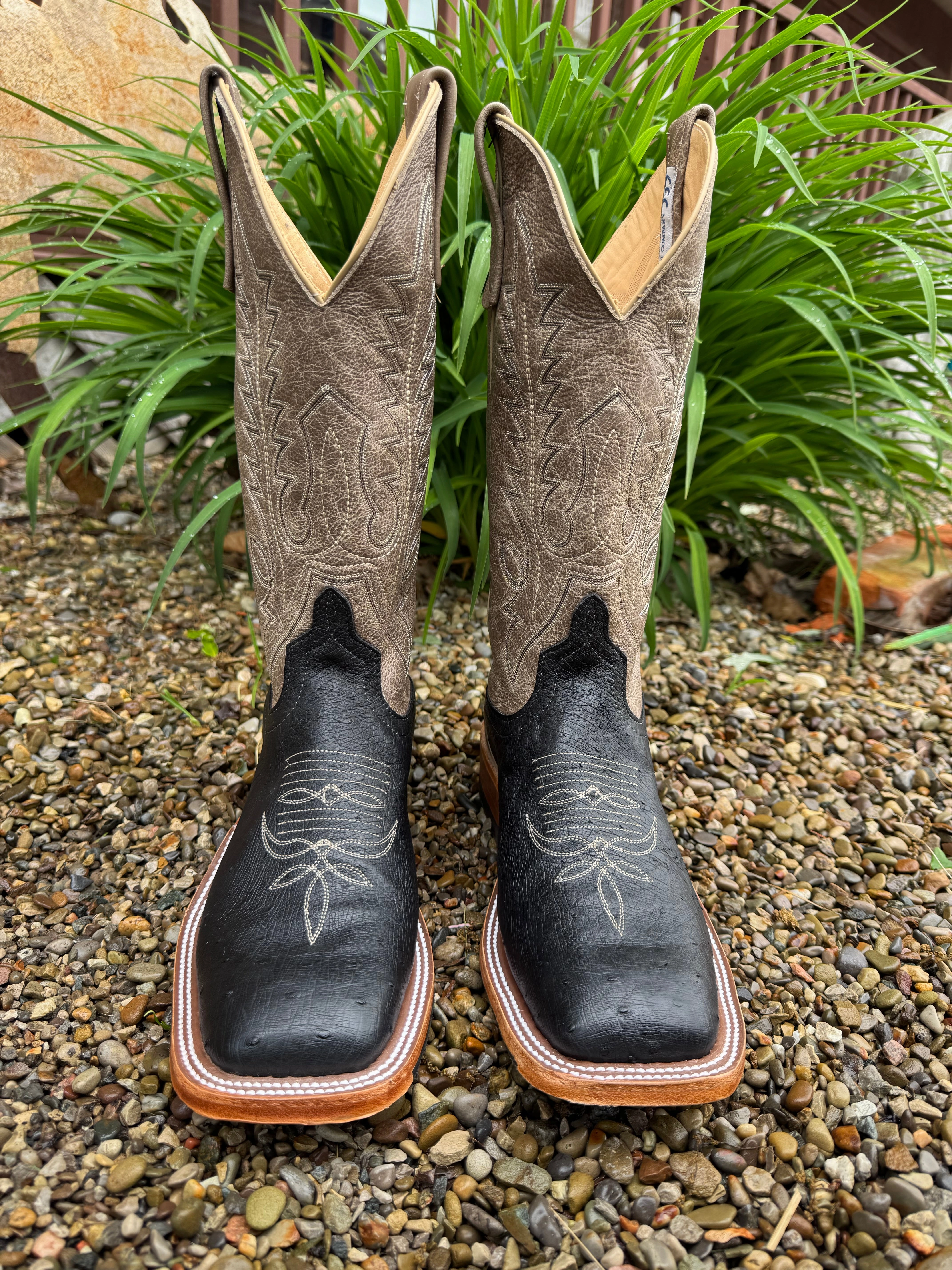 Trail Strength Anderson Bean Men's Black Smooth Ostrich & 13 Outlaw Mushroom Top Square Toe Cowboy Boots 333571