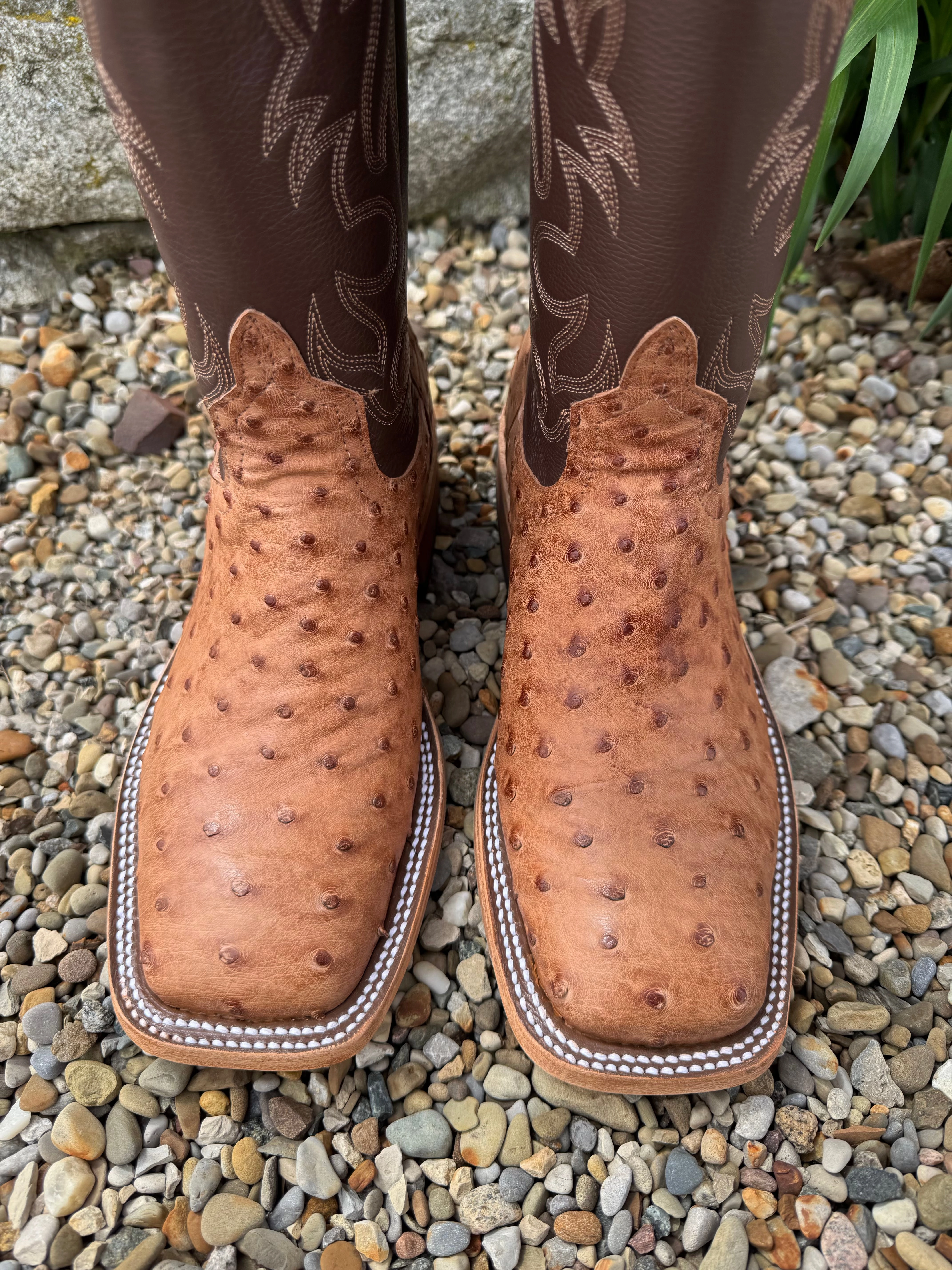 Anderson Bean Men's Brandy Bruciato Full Quill Ostrich & 13" Brandy Top Square Toe Cowboy Boots 333569 EverydayUse Smart Style