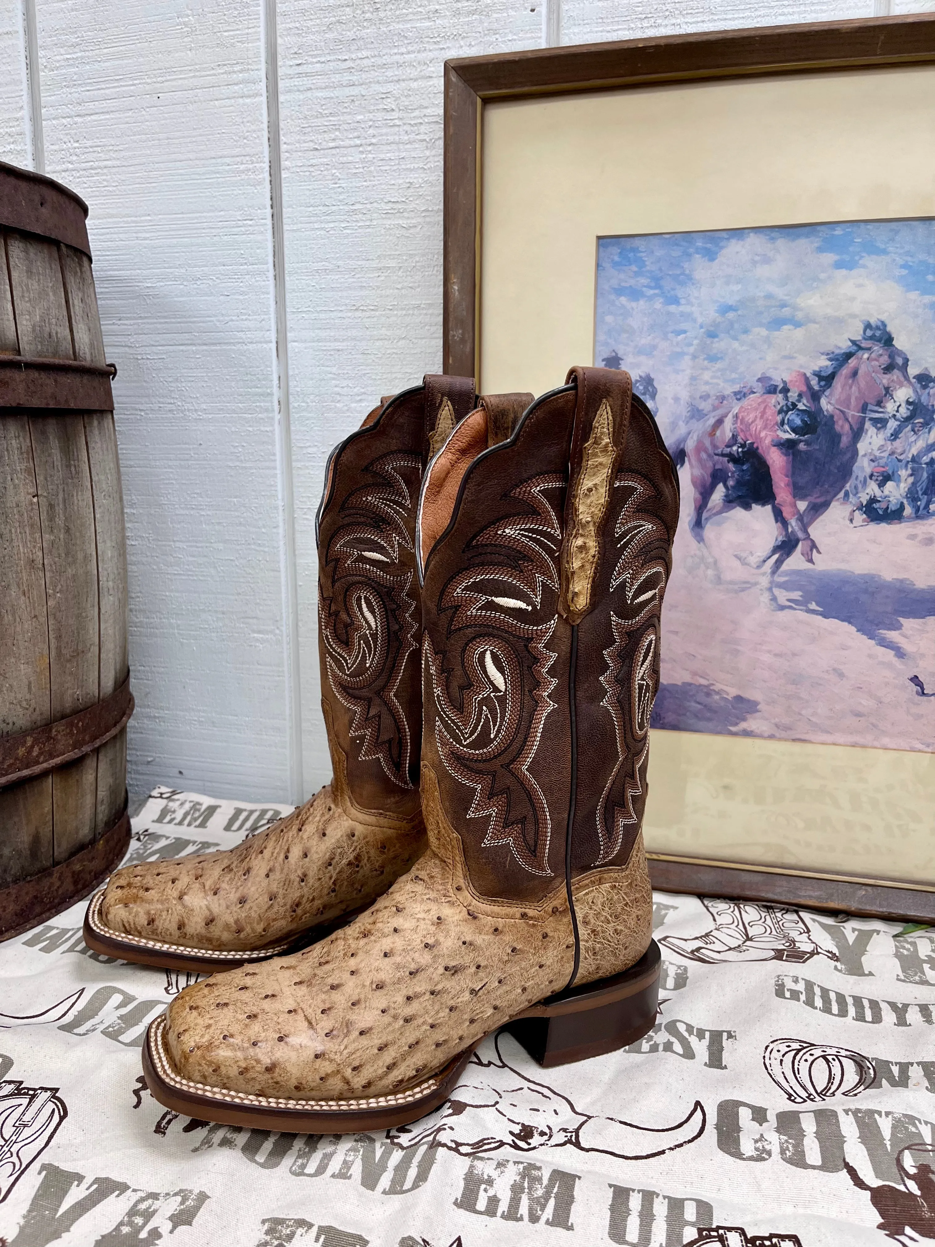Dan Post Women's Kylo Tan Full Quill Ostrich & Chocolate Top Cowgirl Boots DP3011 Shopping Mall Waterproof Function