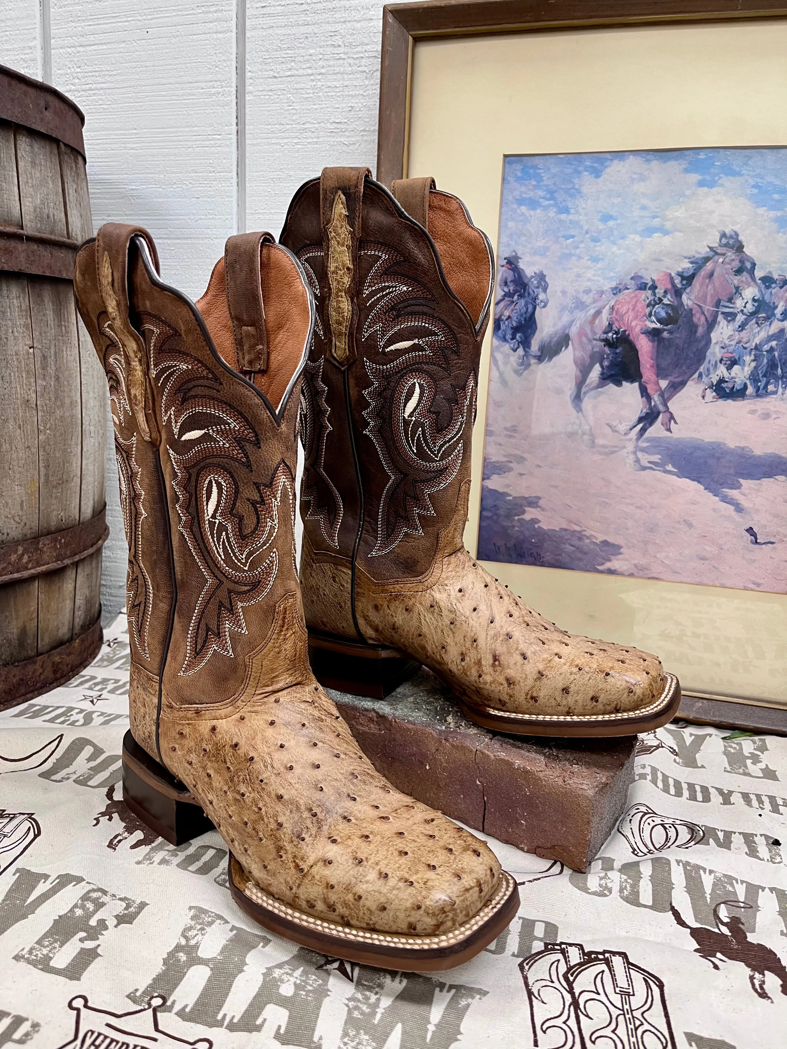 Dan Post Women's Kylo Tan Full Quill Ostrich & Chocolate Top Cowgirl Boots DP3011 Elastic Collar Rain Ready