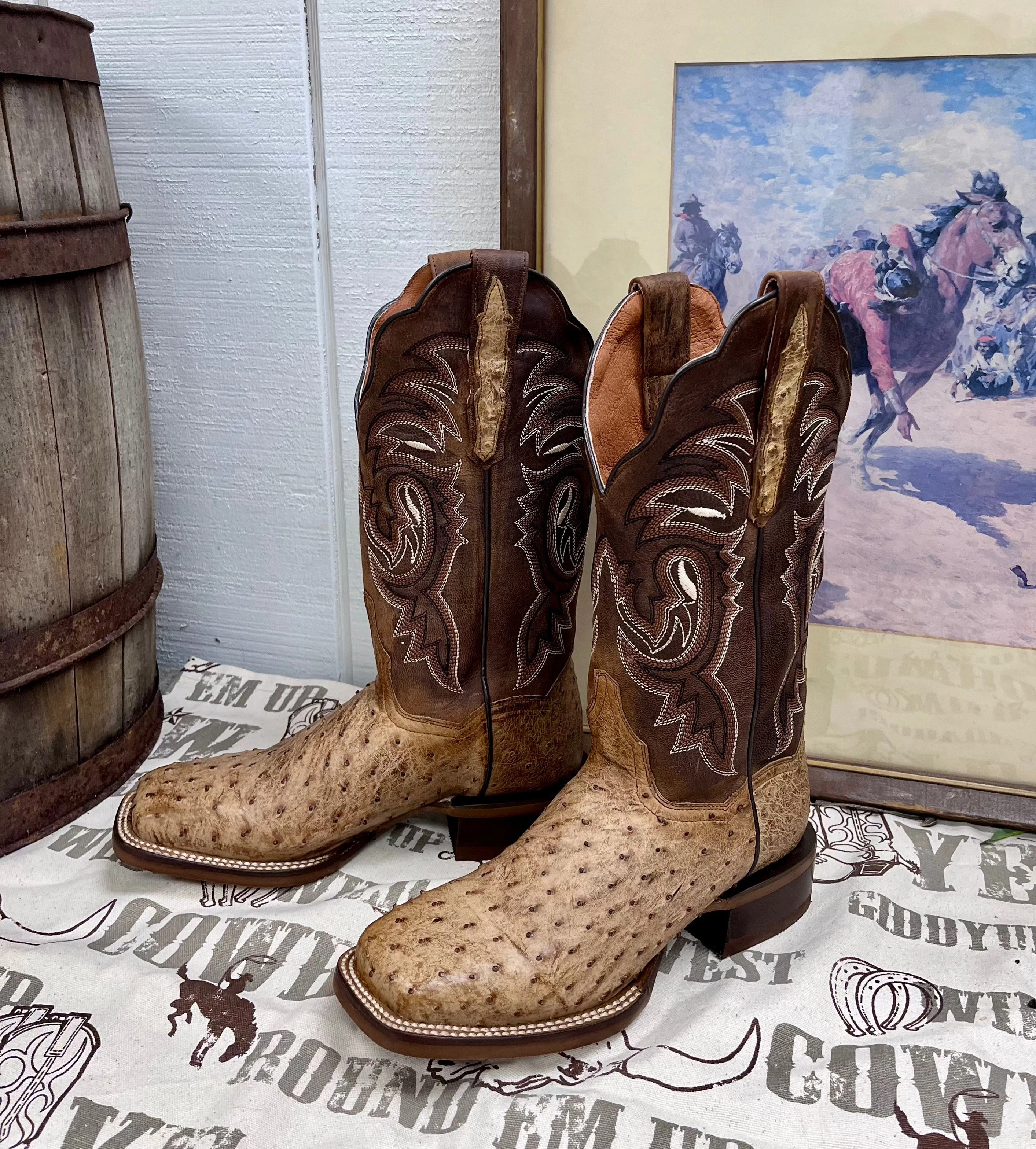 Waterproof Upper Snow Ready Dan Post Women's Kylo Tan Full Quill Ostrich & Chocolate Top Cowgirl Boots DP3011