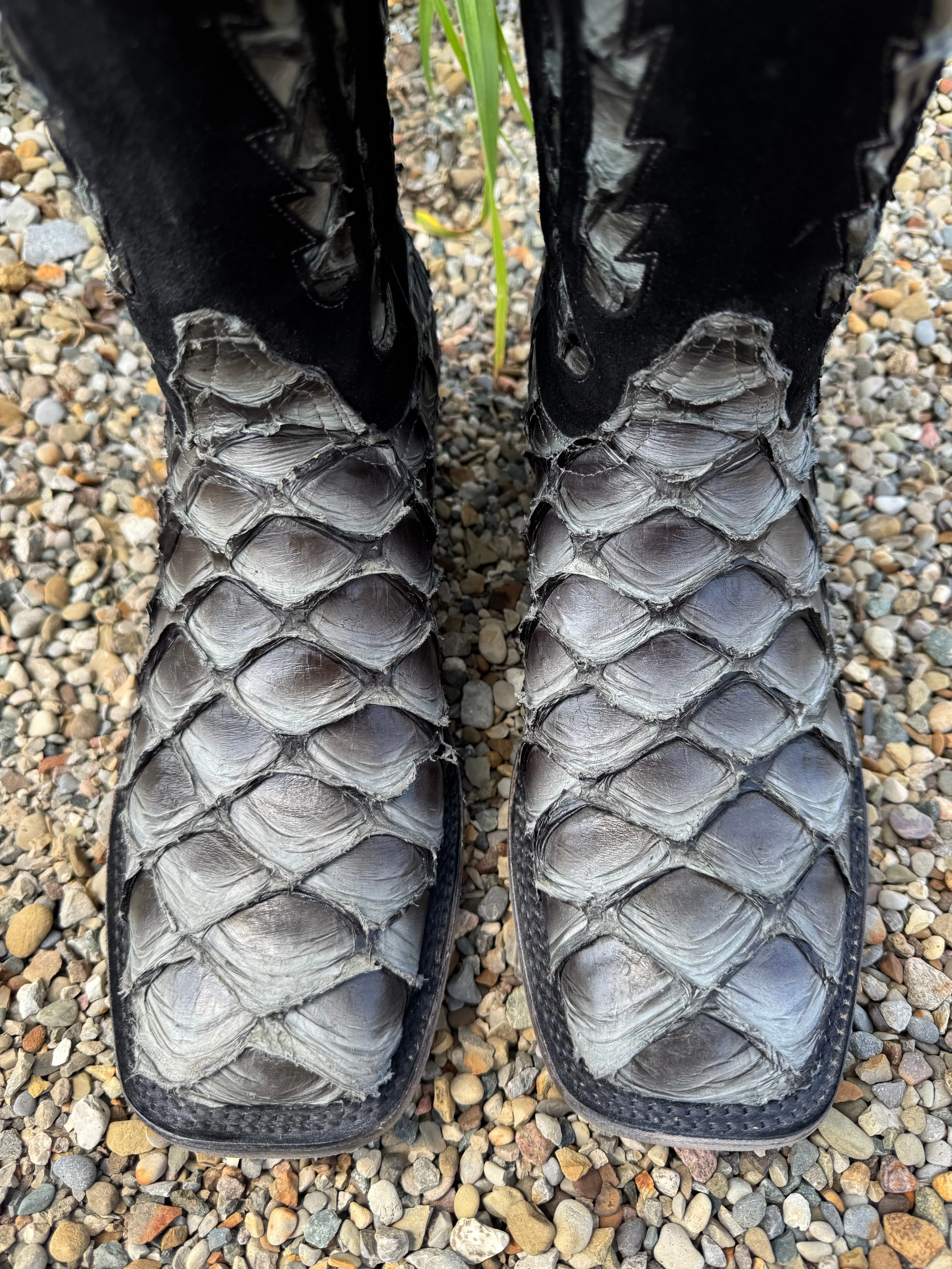 ArchSupport Ultimate Comfort Black Jack Mens Big Bass Pirarucu Paloma Grey Square Toe Western Cowboy Boots PG1732-96