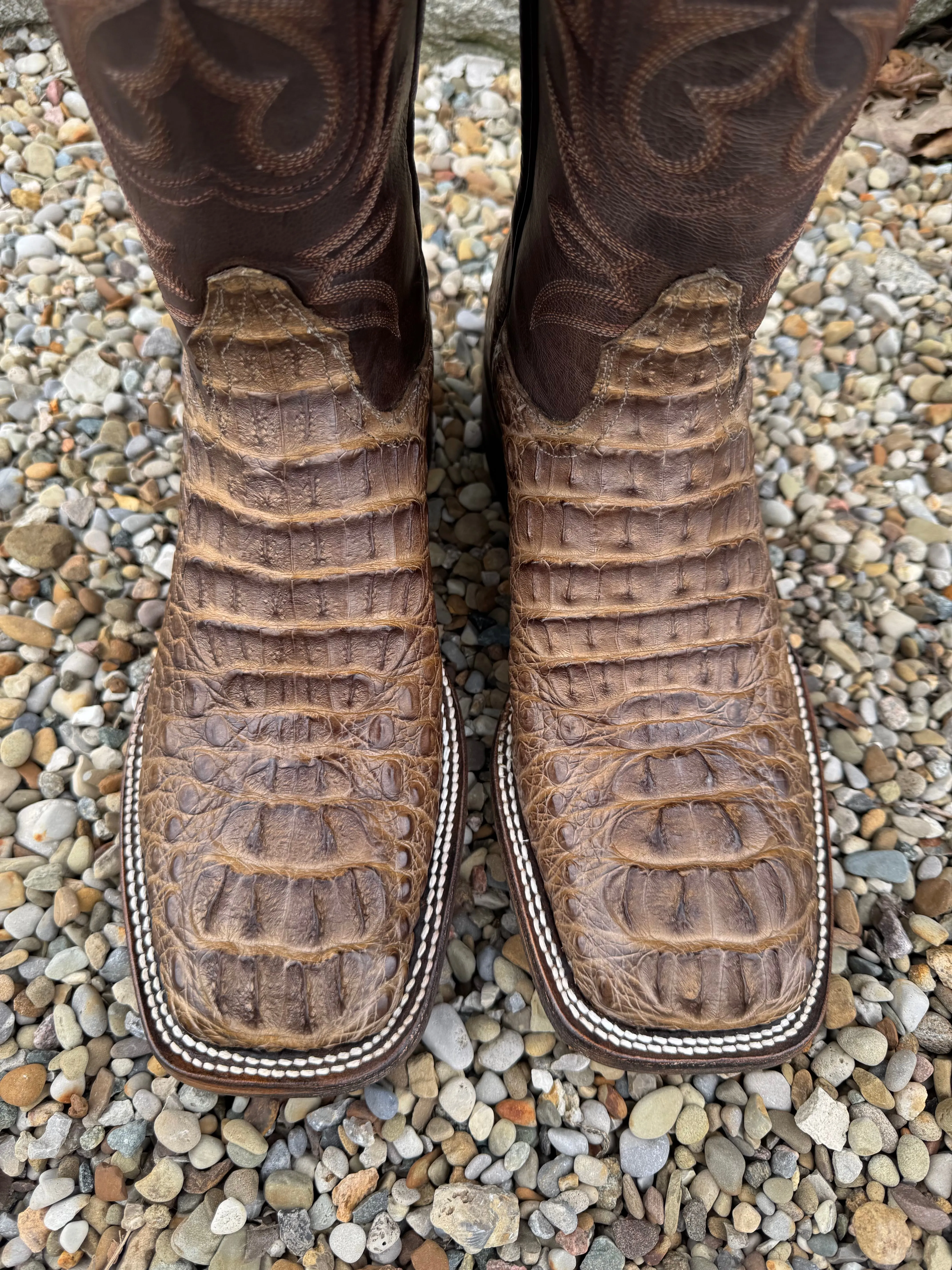 Black Jack Mens Zebra Choco Mink Caiman Hornback Square Toe Cowboy Boots ZCM7731-96 Elastic Ankle Versatile use