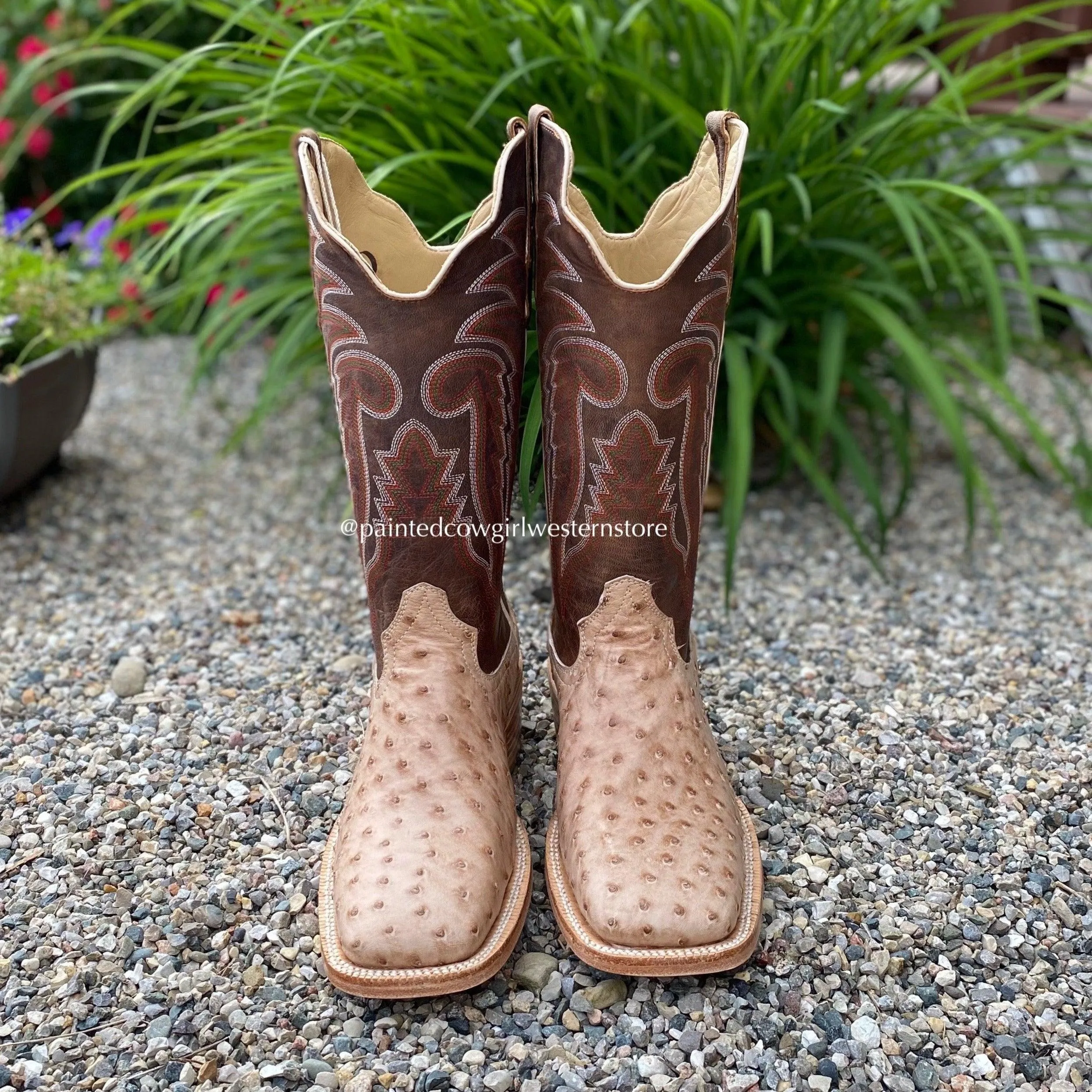 Durable Comfort Minimalist Appeal R. Watson Men's Sand Bruciato Full Quill Ostrich Square Toe Western Cowboy Boots RW4515-2