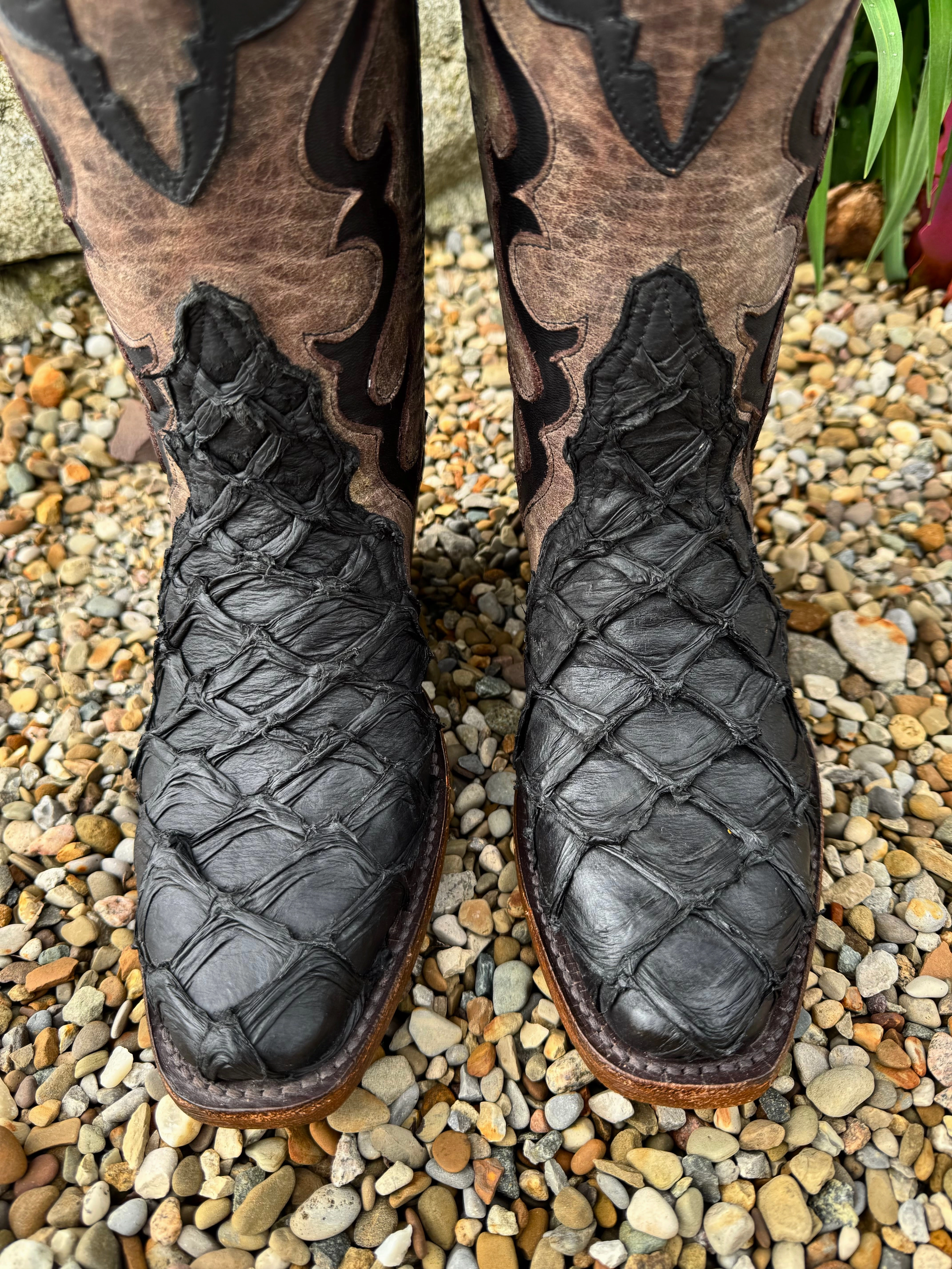 Weatherproof Black Jack Women's Flat Black Pirarucu Big Bass & Tribal Triad Antiqued Tobacco Top w/ Inlays Cowgirl Boots BK7129-V5