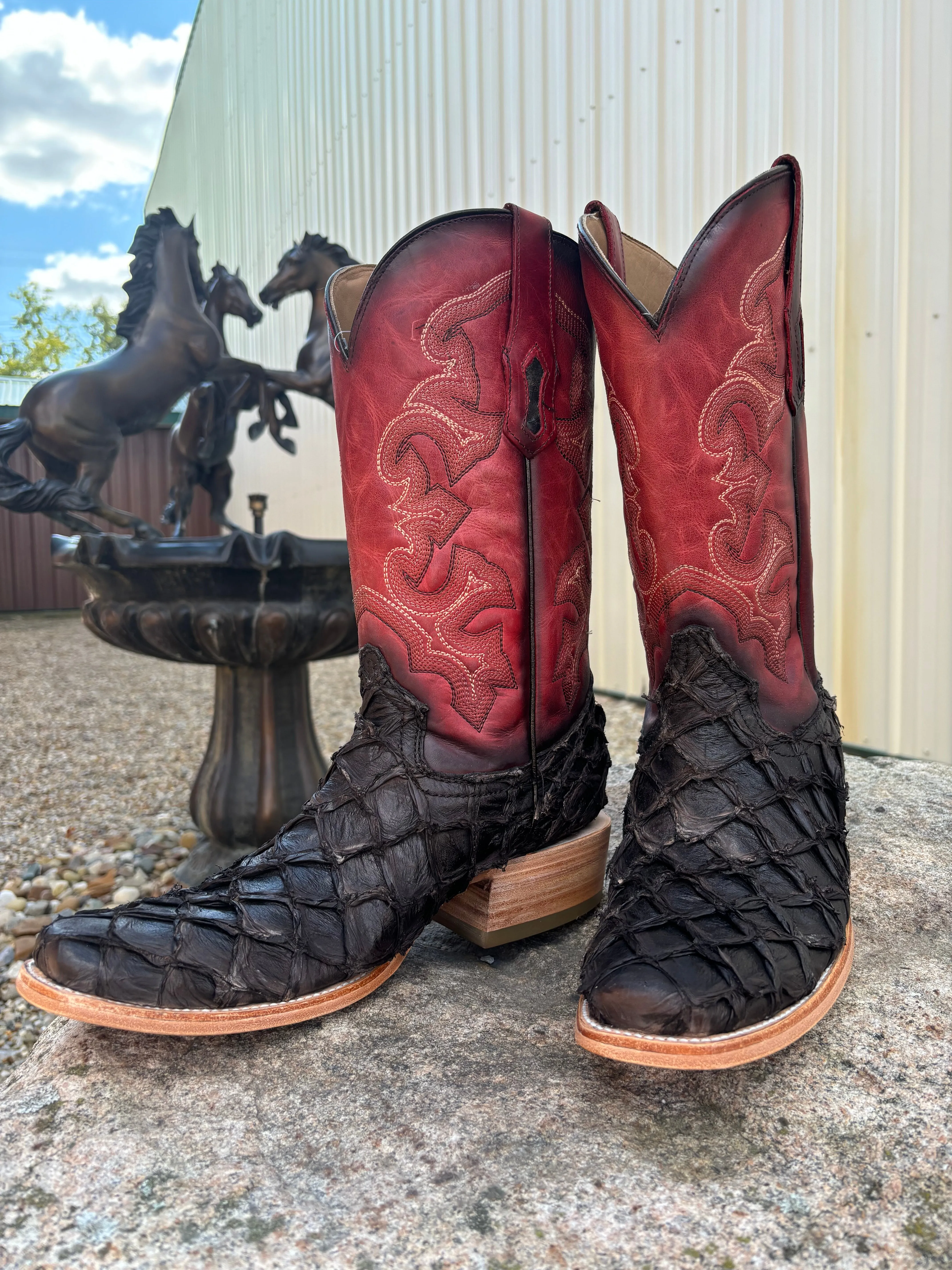 Elastic Collar Corral Men's Dark Brown Pirarucu Big Bass & Red Top Narrow Square Toe Cowboy Boots A4536