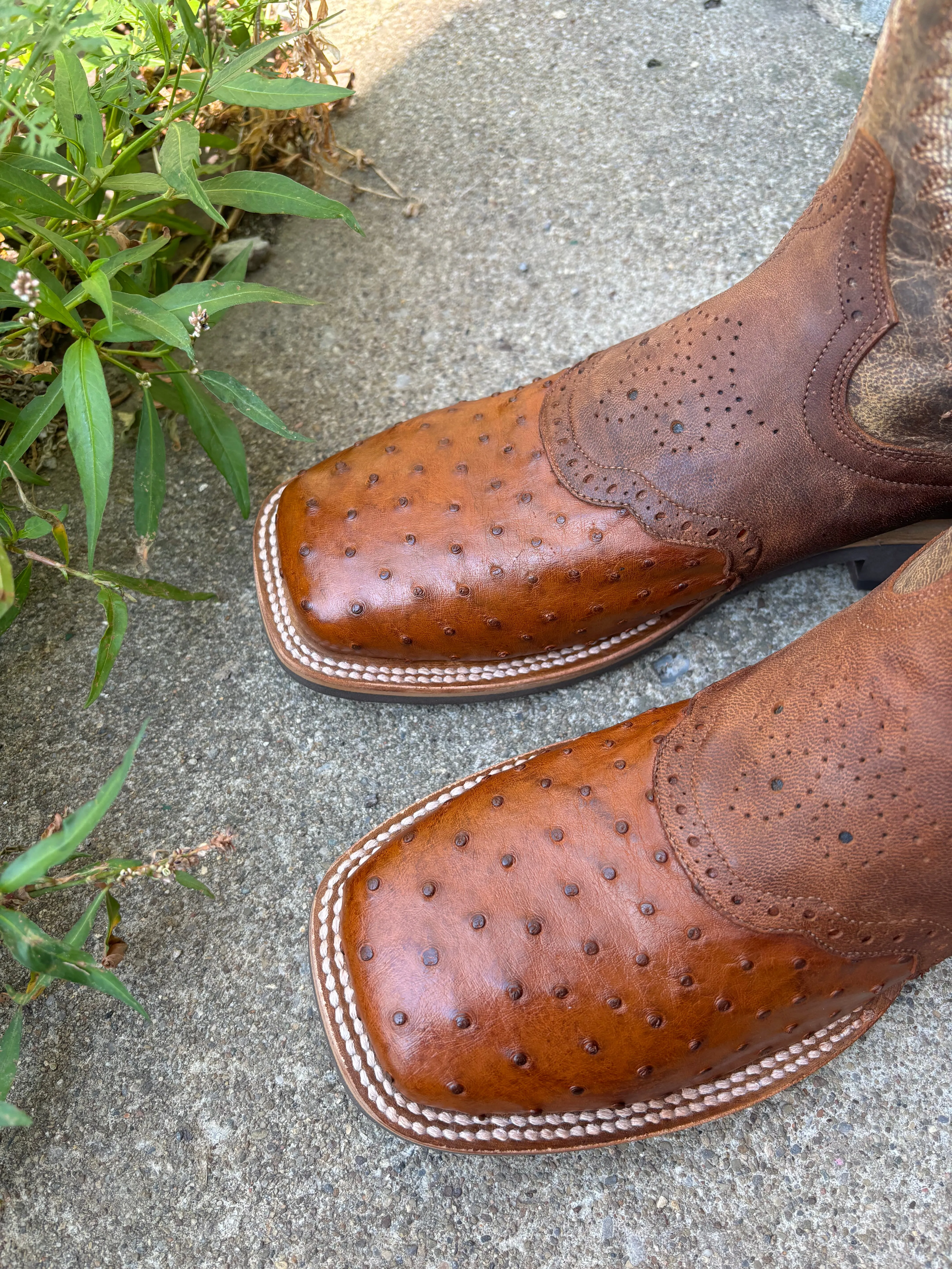 Warm And Comfortable Dan Post Men's Apache Brown Full Quill Ostrich Saddle Vamp Martel Bay Broad Square Toe Cowboy Boots DP6058