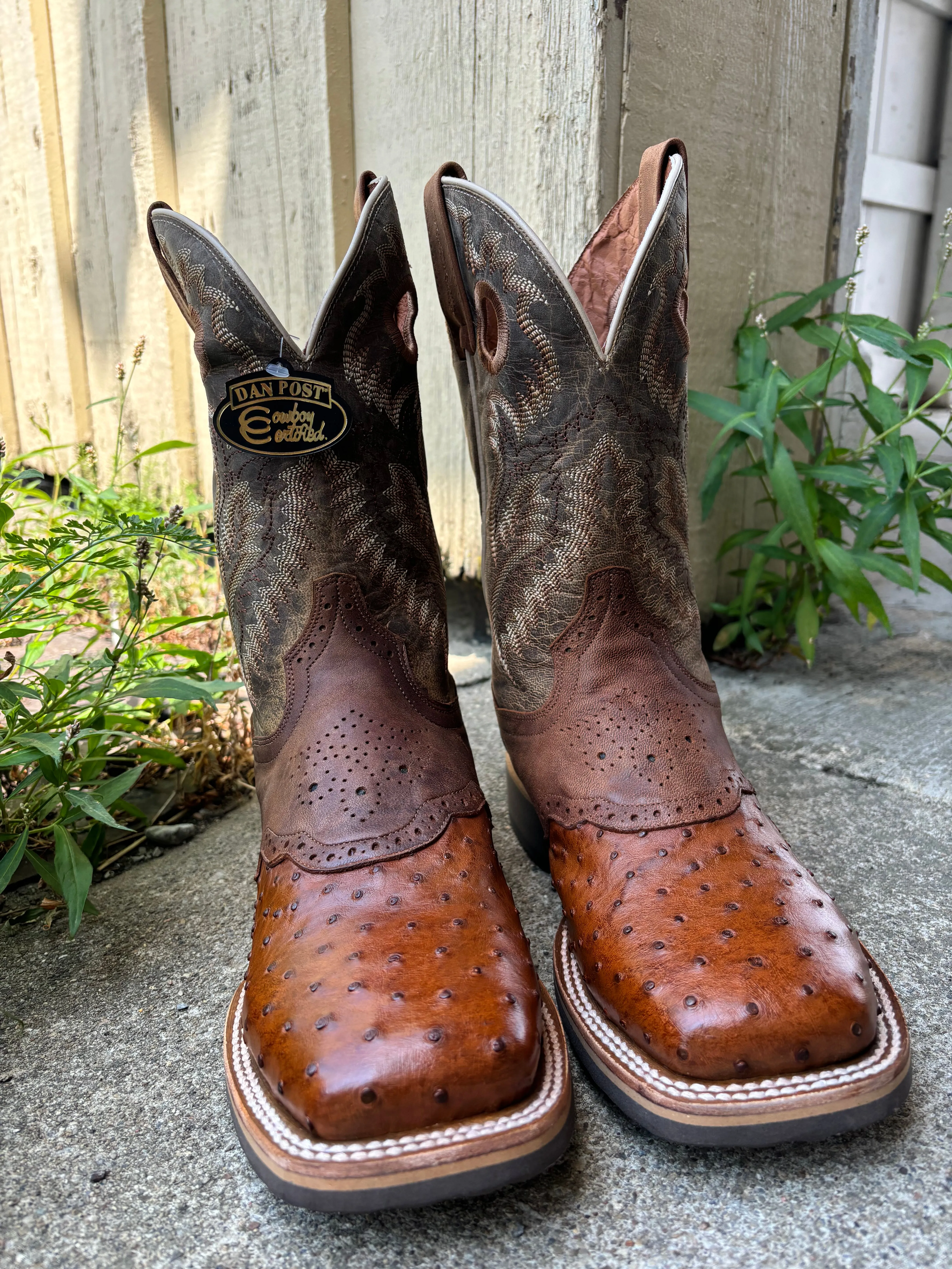 Dan Post Men's Apache Brown Full Quill Ostrich Saddle Vamp Martel Bay Broad Square Toe Cowboy Boots DP6058 Horse Riding Mixed Textures