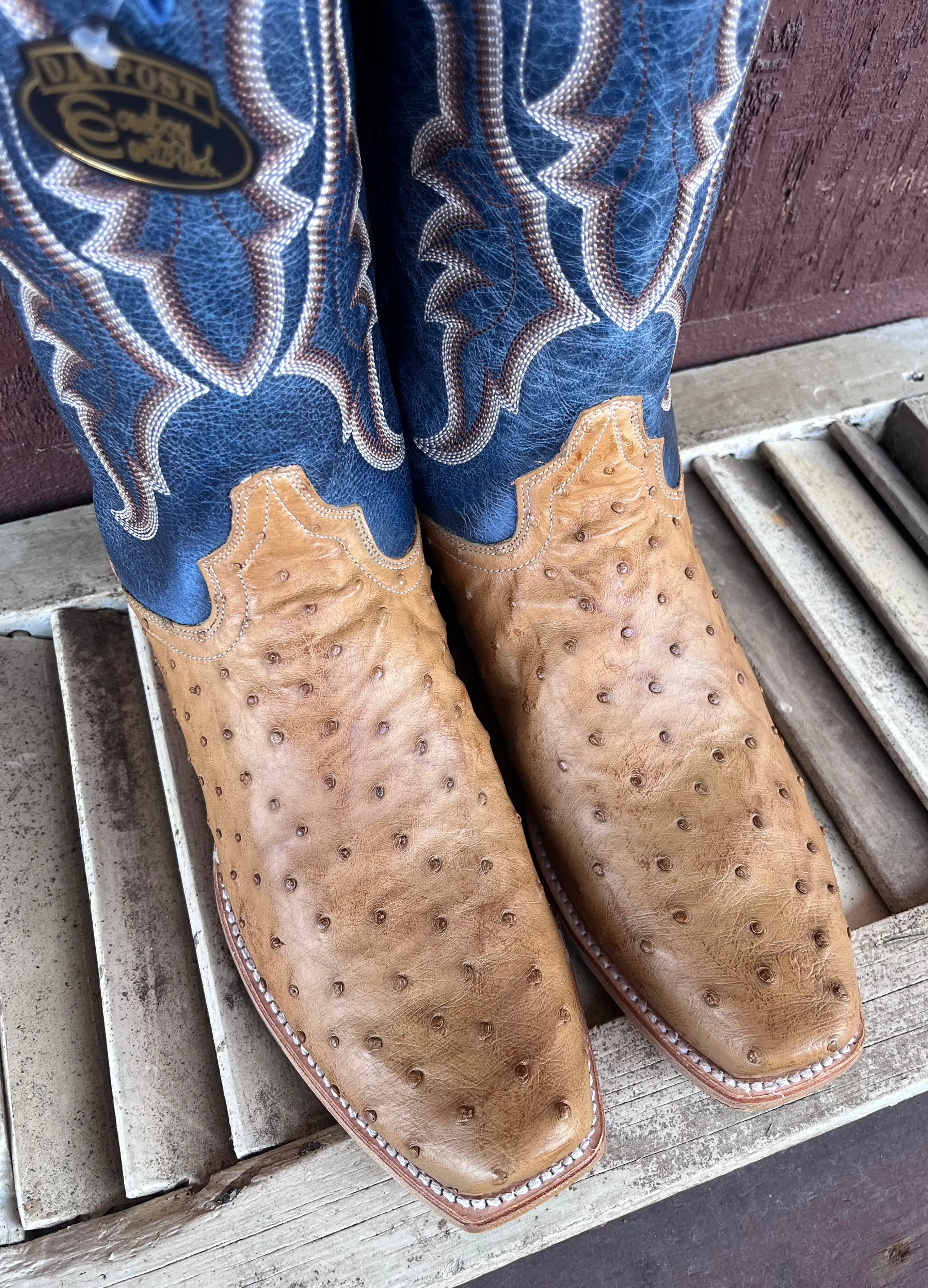 Inner Glow Dan Post Men's Tan Full Quill Ostrich & Blue Top Cutter Toe Cowboy Boots DP5191