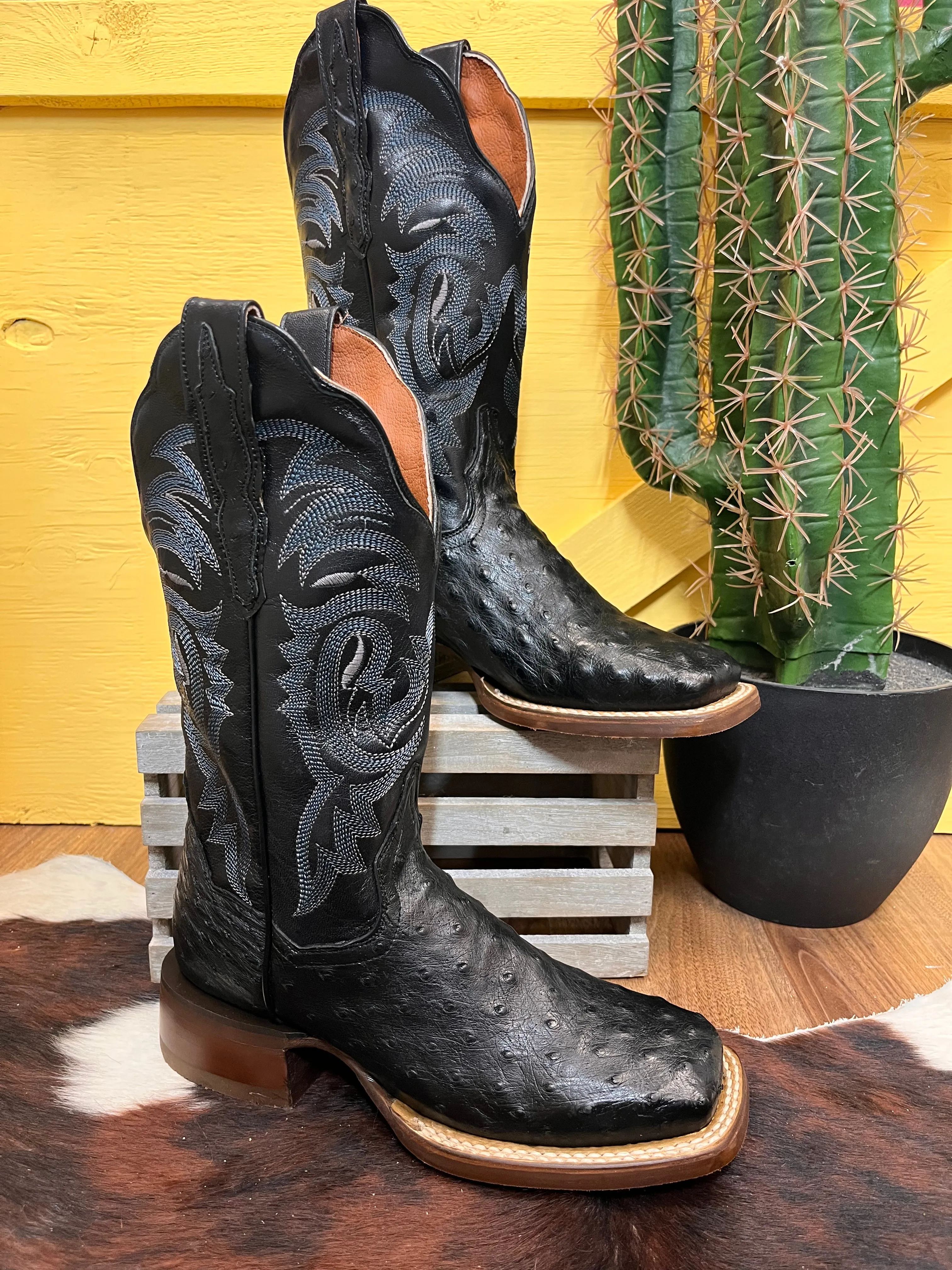Comfort Ankle Support High Shaft Dan Post Women's Black Full Quill Ostrich Kylo Square Toe Cowgirl Boots DP3009