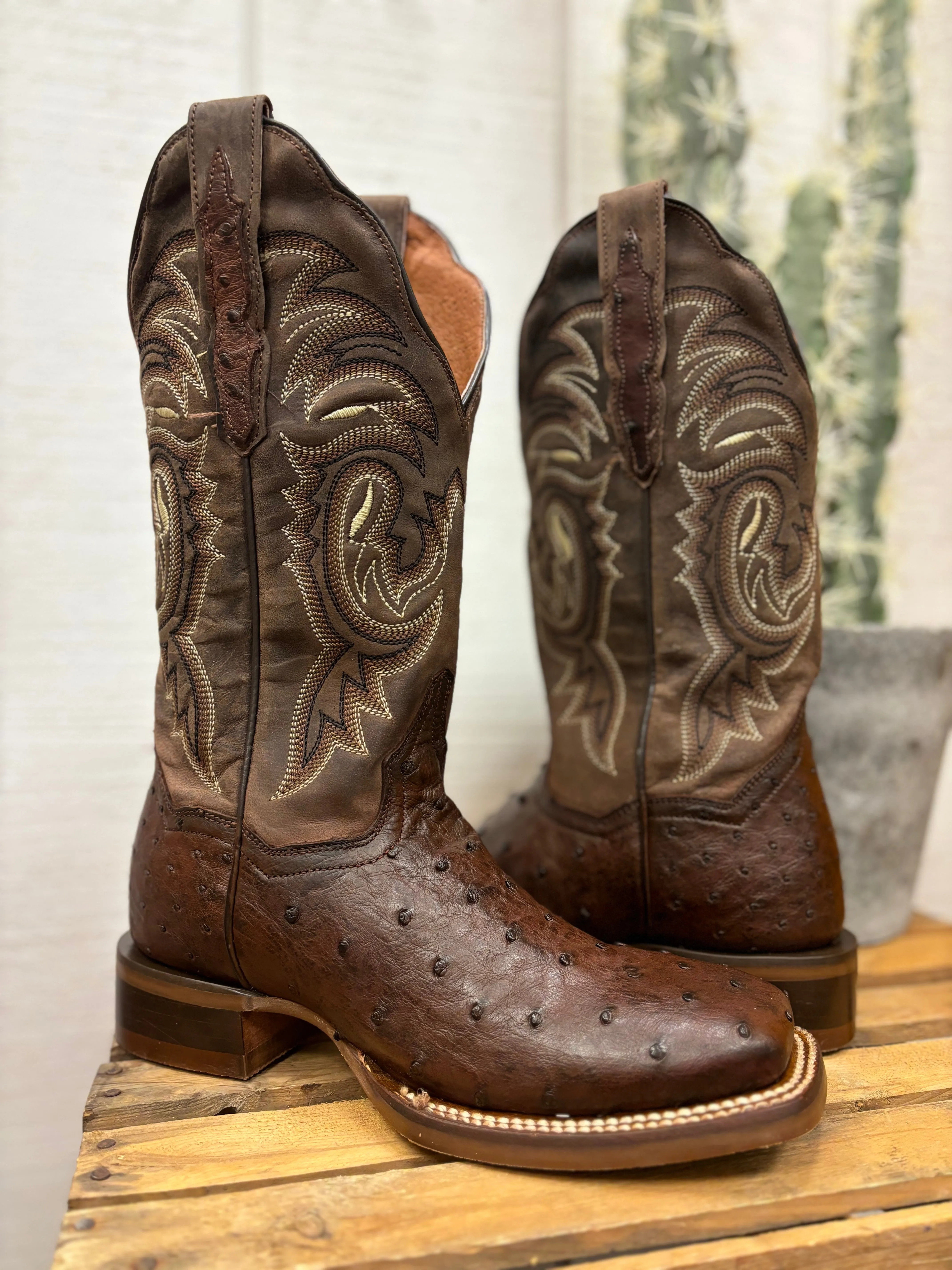 Premium Craft Elastic Collar Dan Post Women's Kylo Chocolate Full Quill Ostrich Square Toe Cowgirl Boots DP5250