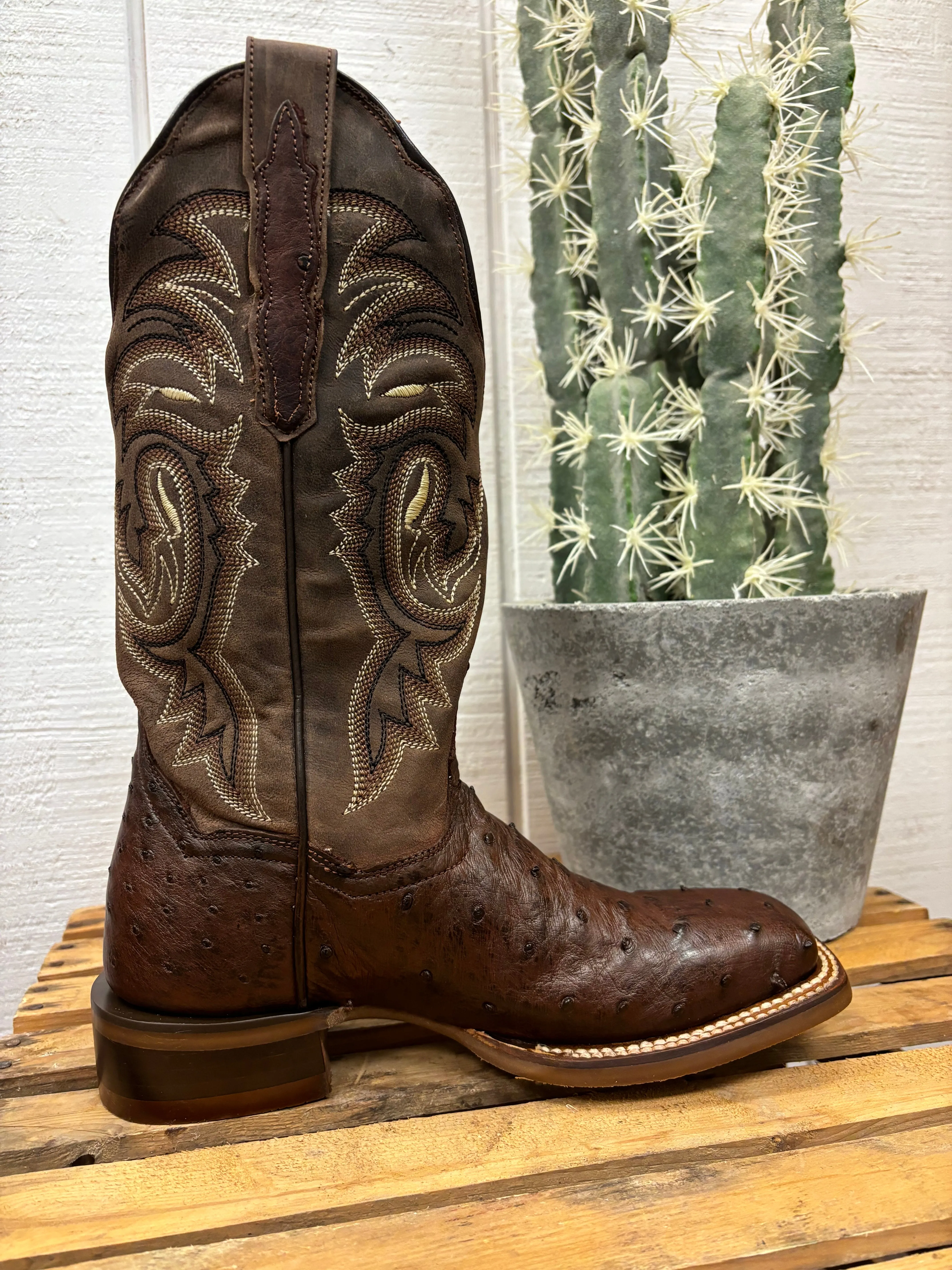 Dan Post Women's Kylo Chocolate Full Quill Ostrich Square Toe Cowgirl Boots DP5250 MemoryFoam Orthopedic Design