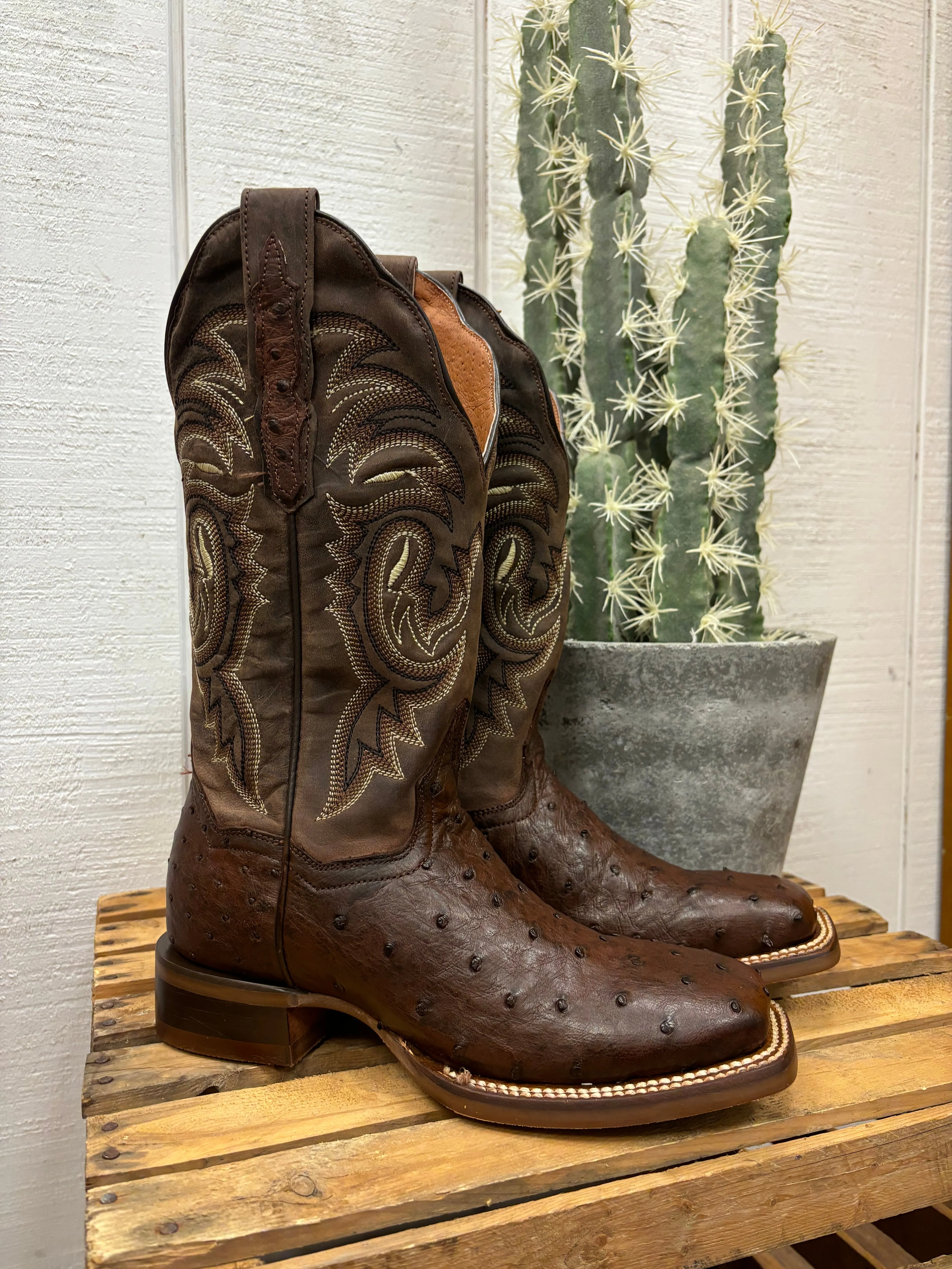 Street Utility Dan Post Women's Kylo Chocolate Full Quill Ostrich Square Toe Cowgirl Boots DP5250