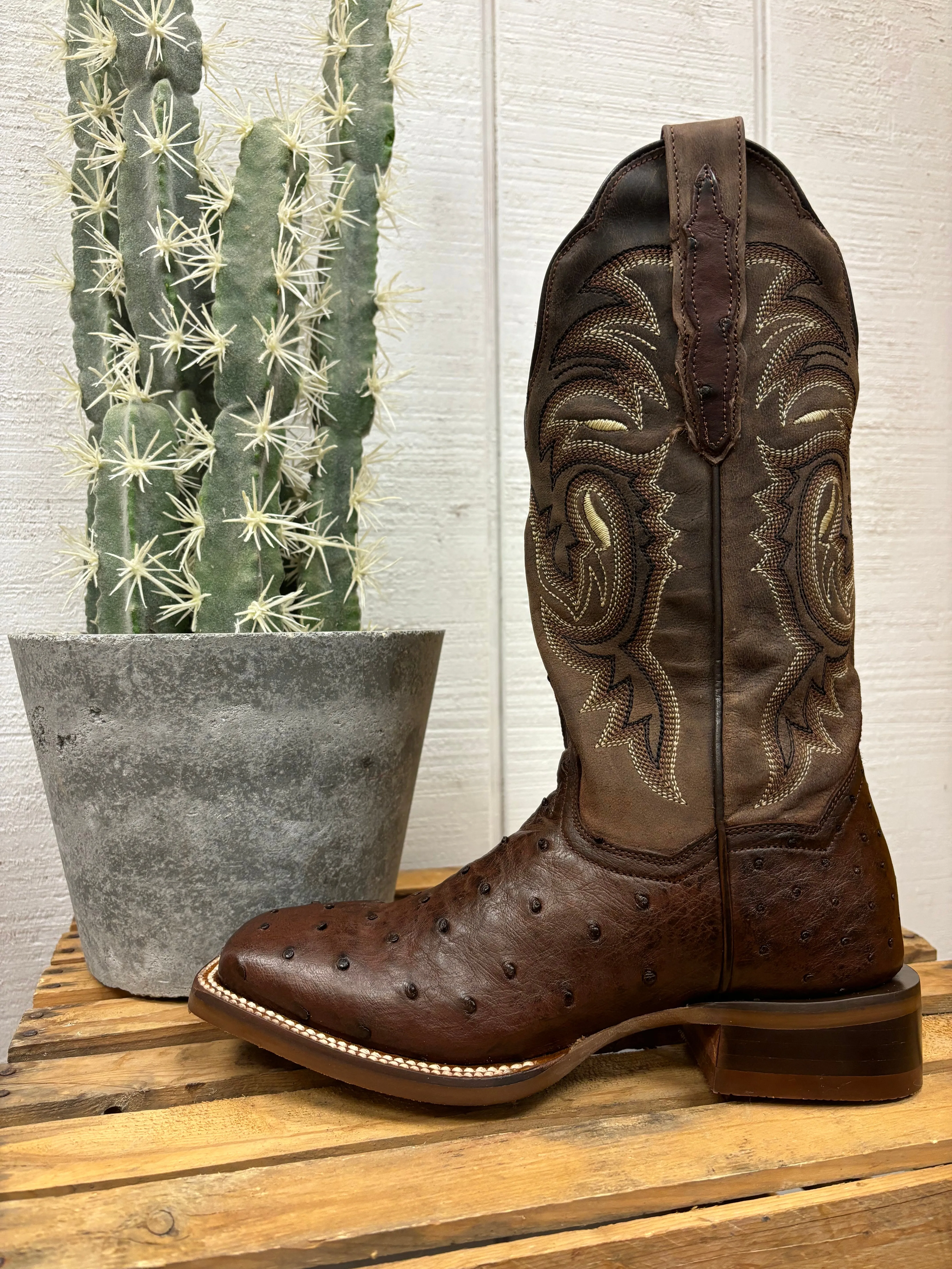 ArchSupport Dan Post Women's Kylo Chocolate Full Quill Ostrich Square Toe Cowgirl Boots DP5250