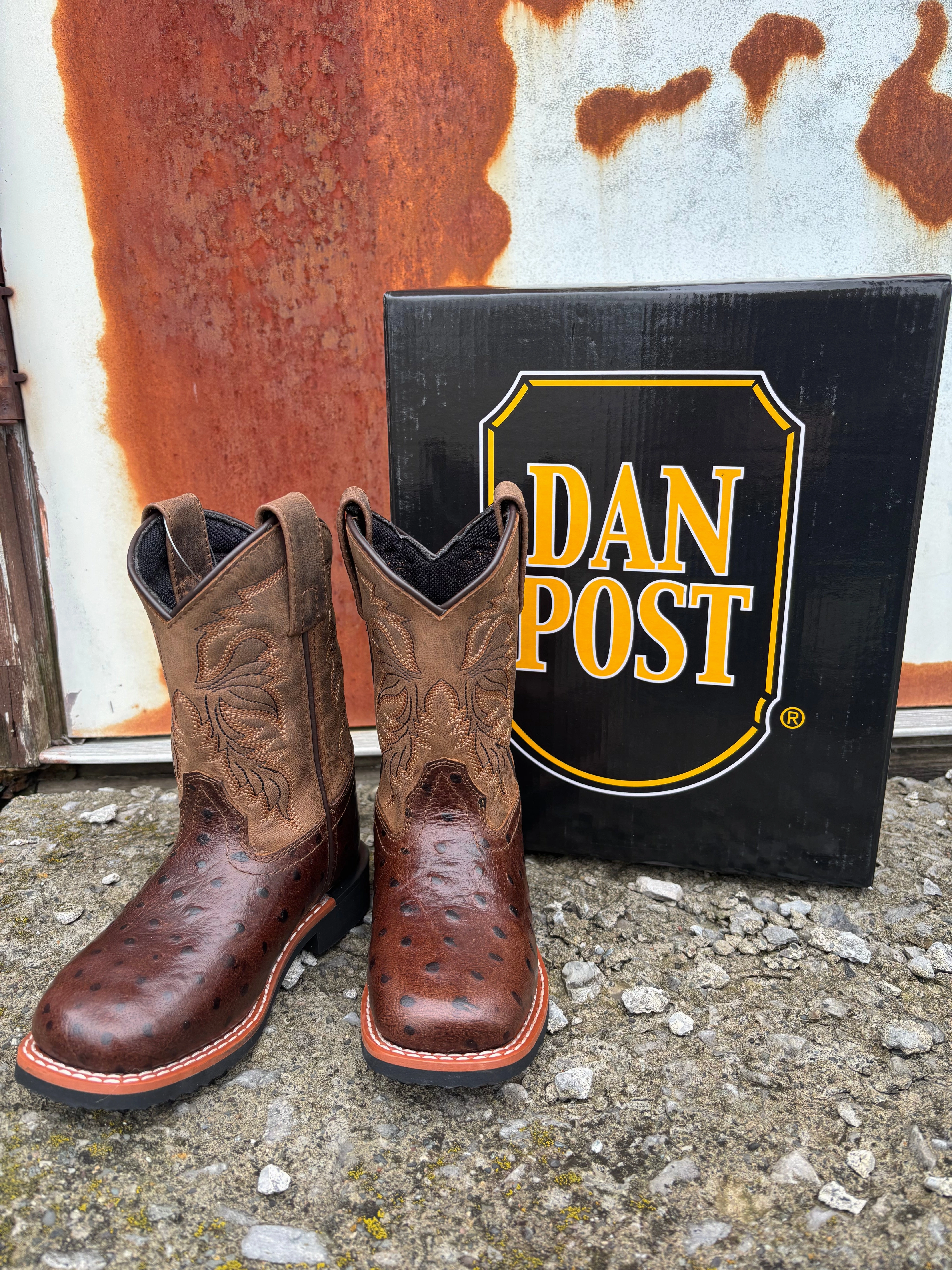 Training Ground Country Side Dan Post Children/Youth Chocolate Brown Jet Ostrich Print Western Cowboy Boots DPC4007 DPC5007