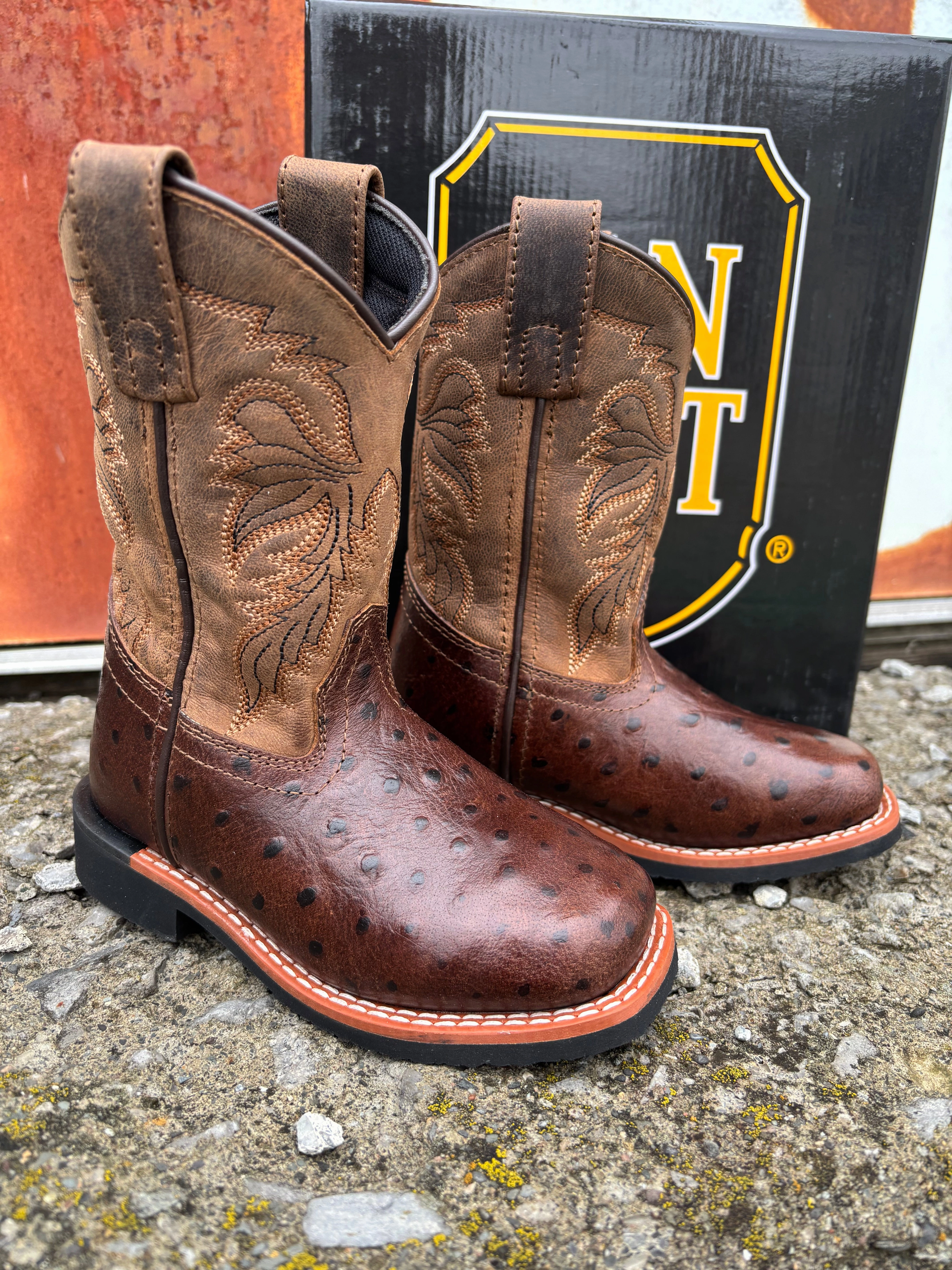Dan Post Children/Youth Chocolate Brown Jet Ostrich Print Western Cowboy Boots DPC4007 DPC5007 Lightweight Footwear
