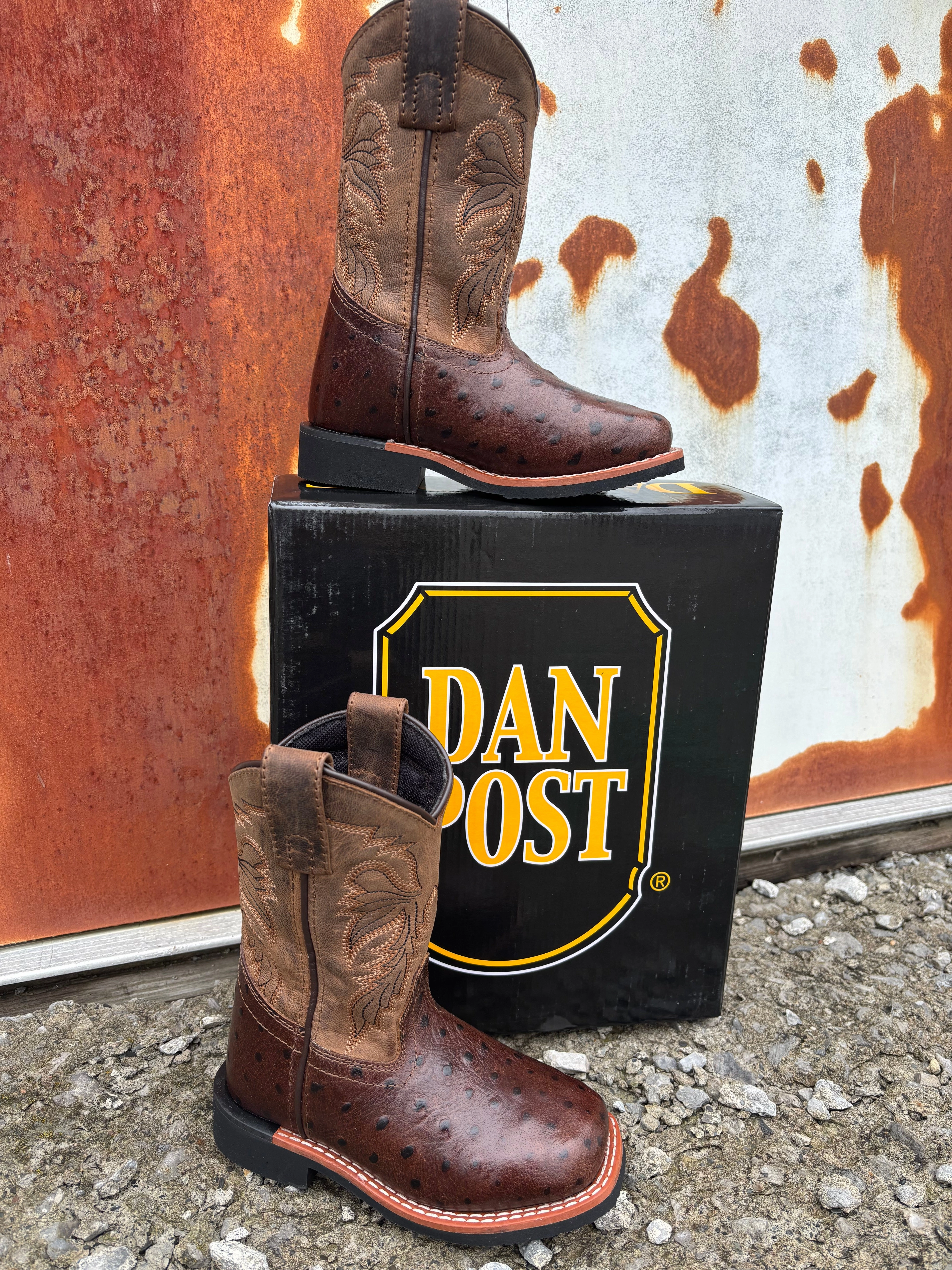Love Pair Flexible Construction Dan Post Children/Youth Chocolate Brown Jet Ostrich Print Western Cowboy Boots DPC4007 DPC5007