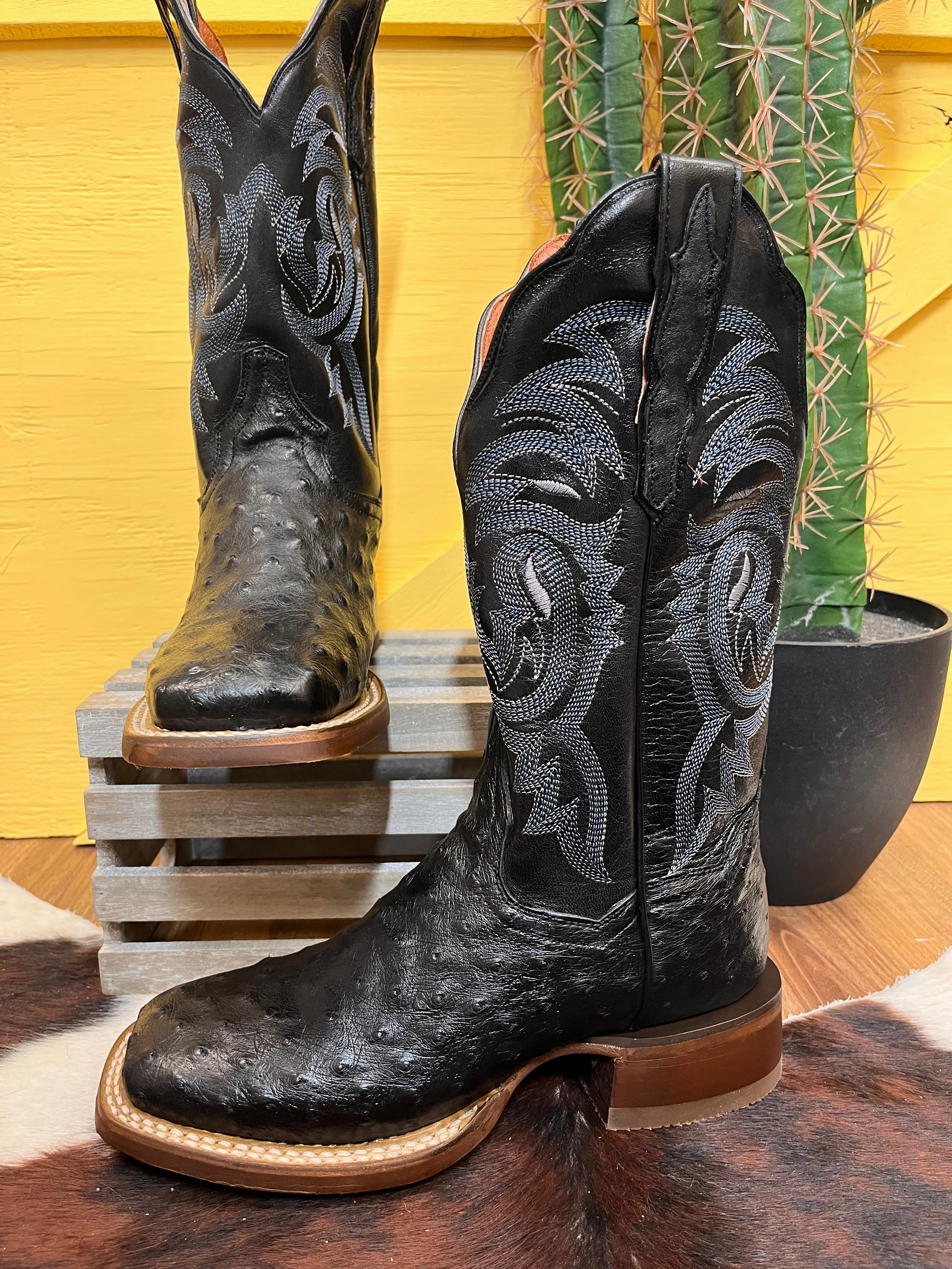 Dan Post Women's Black Full Quill Ostrich Kylo Square Toe Cowgirl Boots DP3009 Breathable Upper