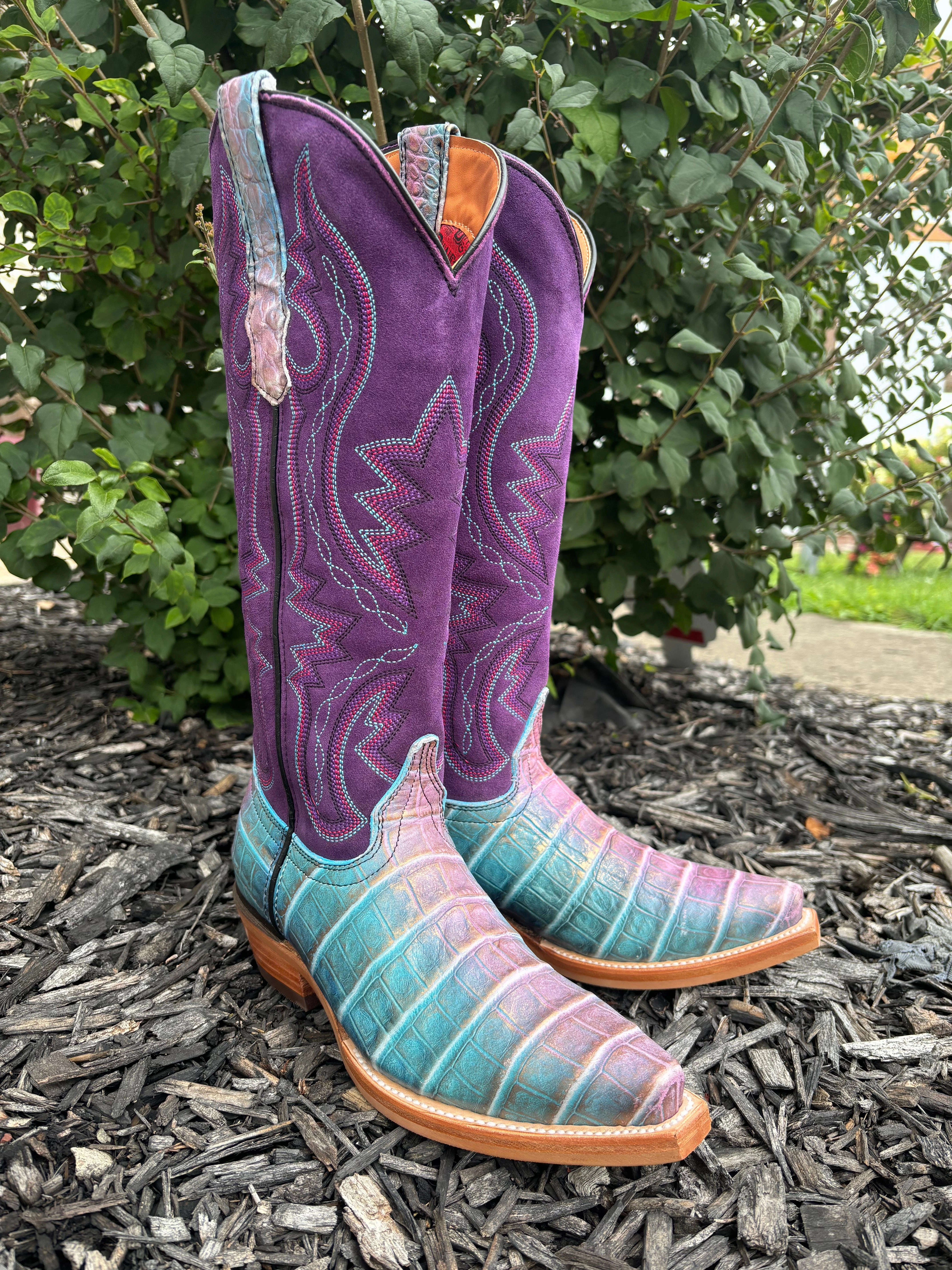Dingo Women's Royale Caterina Purple Caiman Print Snip Toe Cowgirl Boots DI209 Outdoor Look