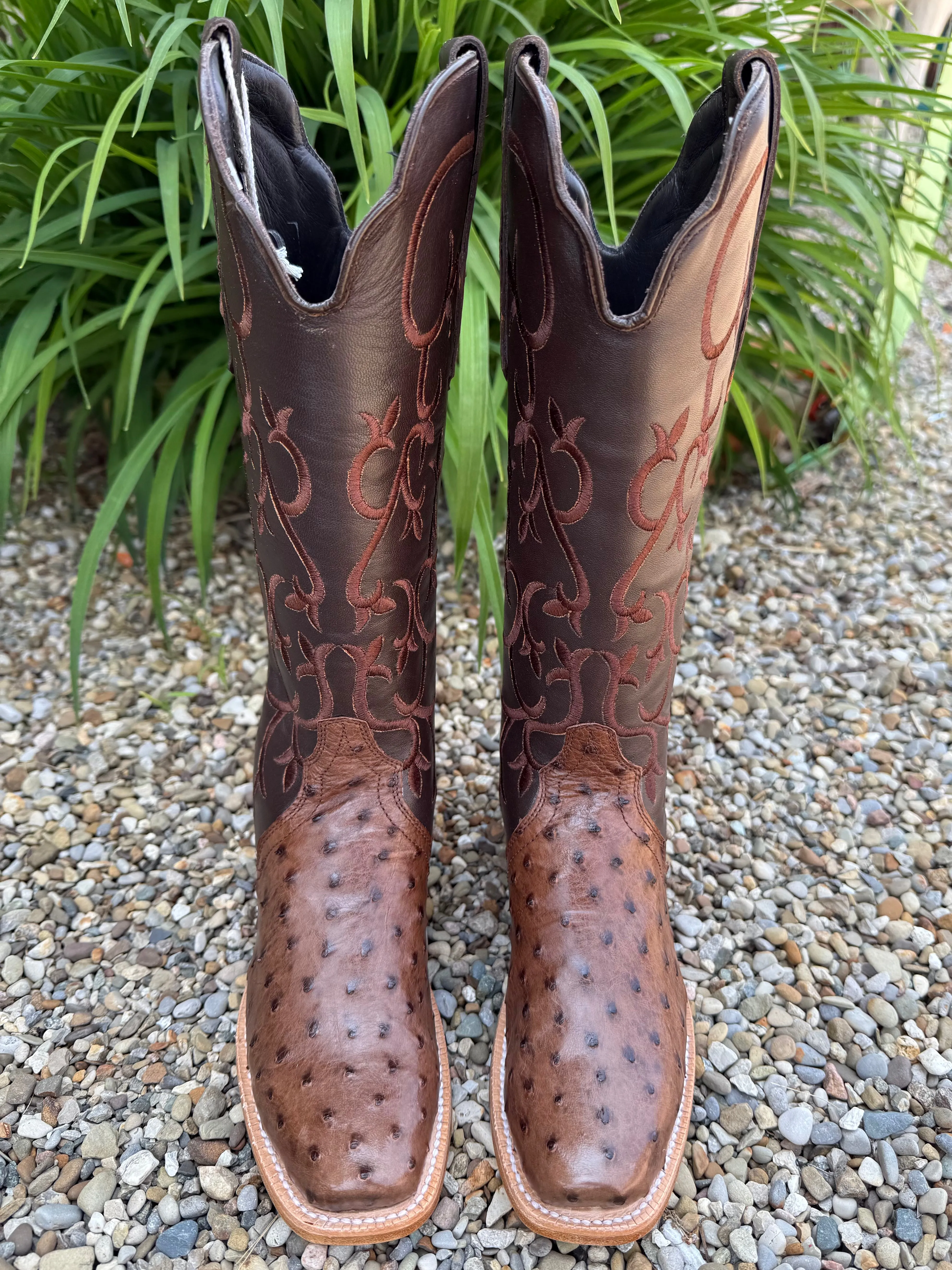 R. Watson Women's 14" Kango Tobacco Full Quill Ostrich Chocolate Mestizo Triad Cowgirl Boots RWL4311-1 Lightweight Footwear