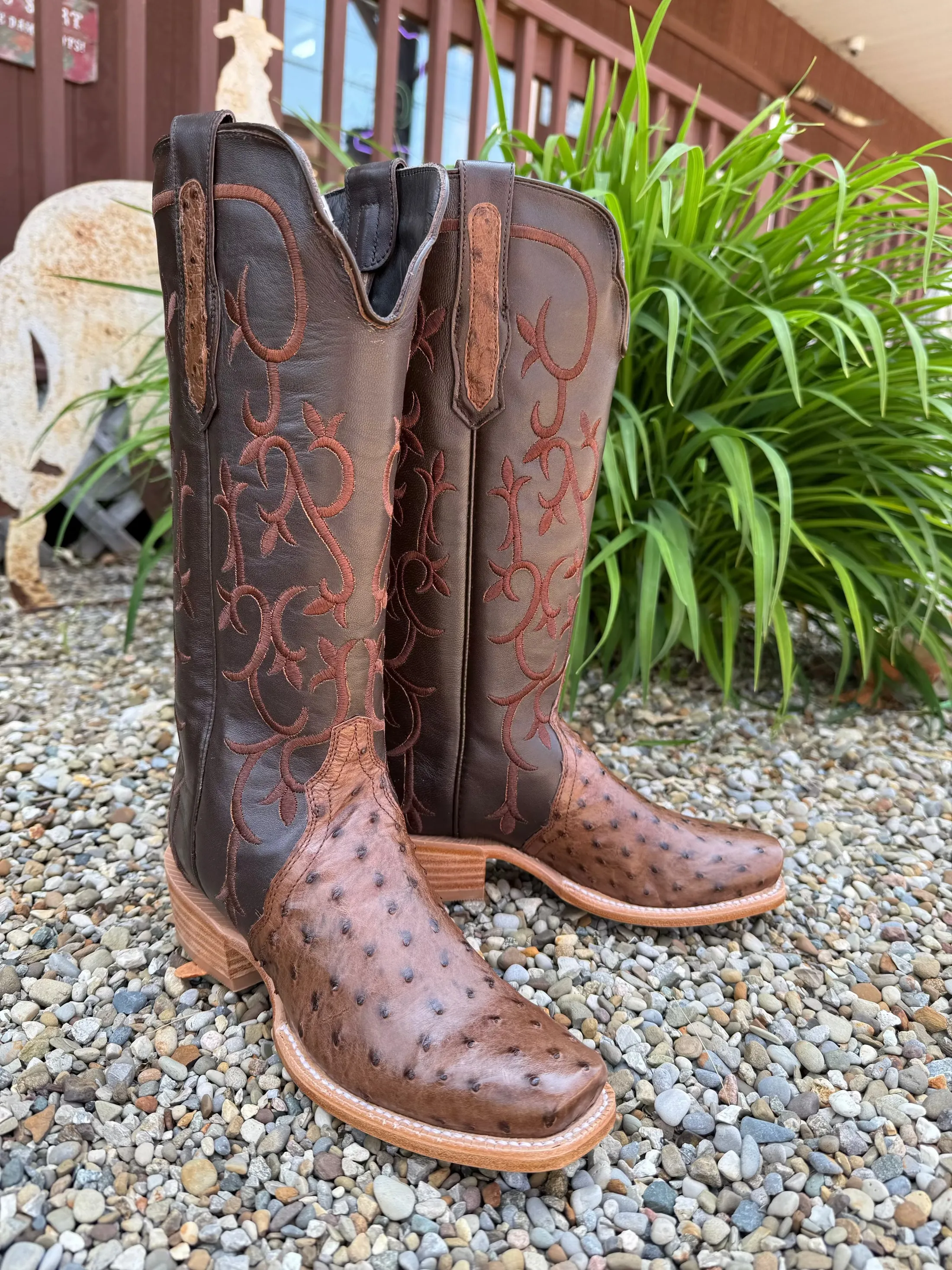 Outdoor Use Anti   Blister R. Watson Women's 14" Kango Tobacco Full Quill Ostrich Chocolate Mestizo Triad Cowgirl Boots RWL4311-1