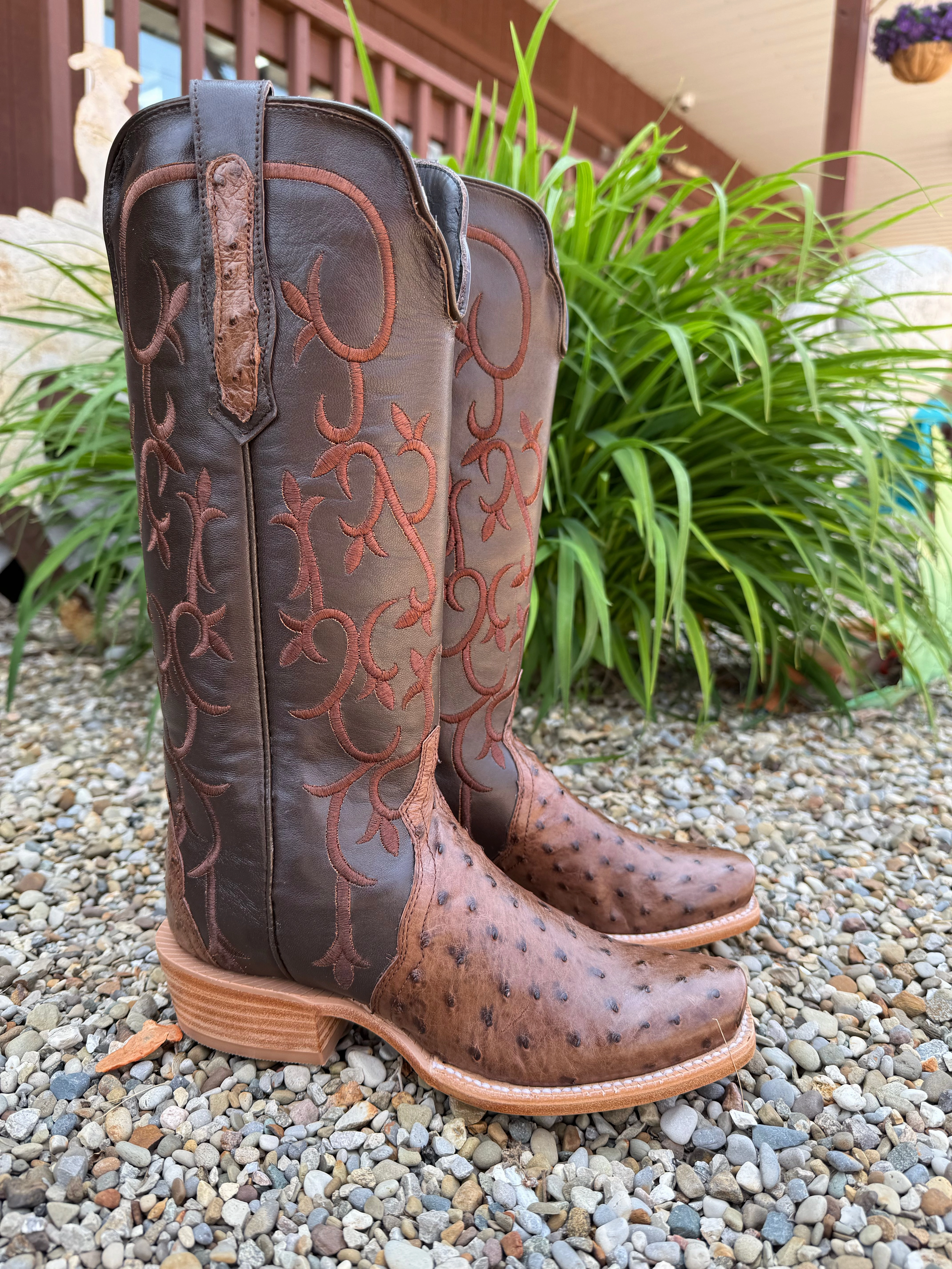 R. Watson Women's 14" Kango Tobacco Full Quill Ostrich Chocolate Mestizo Triad Cowgirl Boots RWL4311-1 Warm Touch