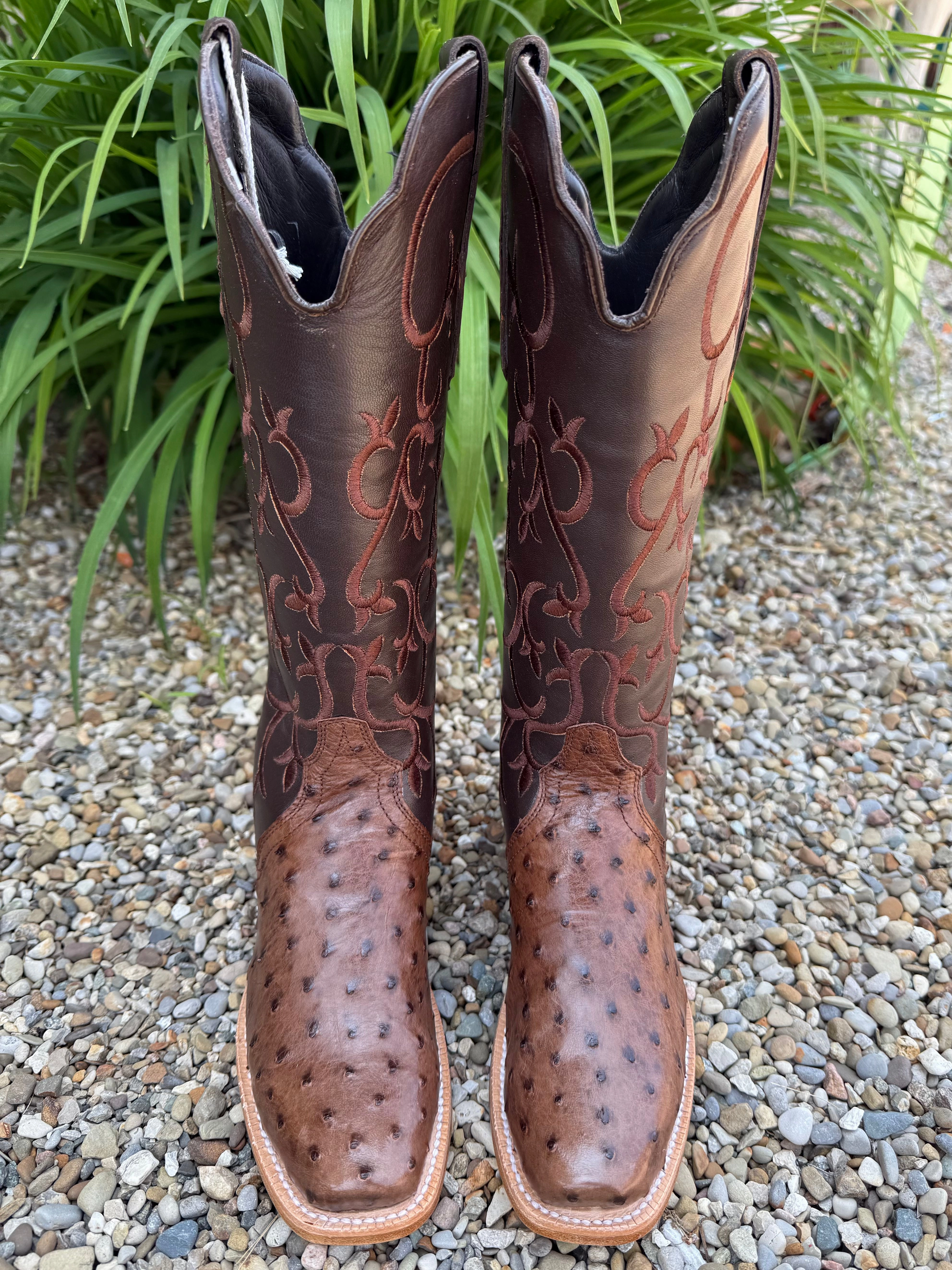 R. Watson Women's 14" Kango Tobacco Full Quill Ostrich Chocolate Mestizo Triad Cowgirl Boots RWL4311-1 Punk Bold