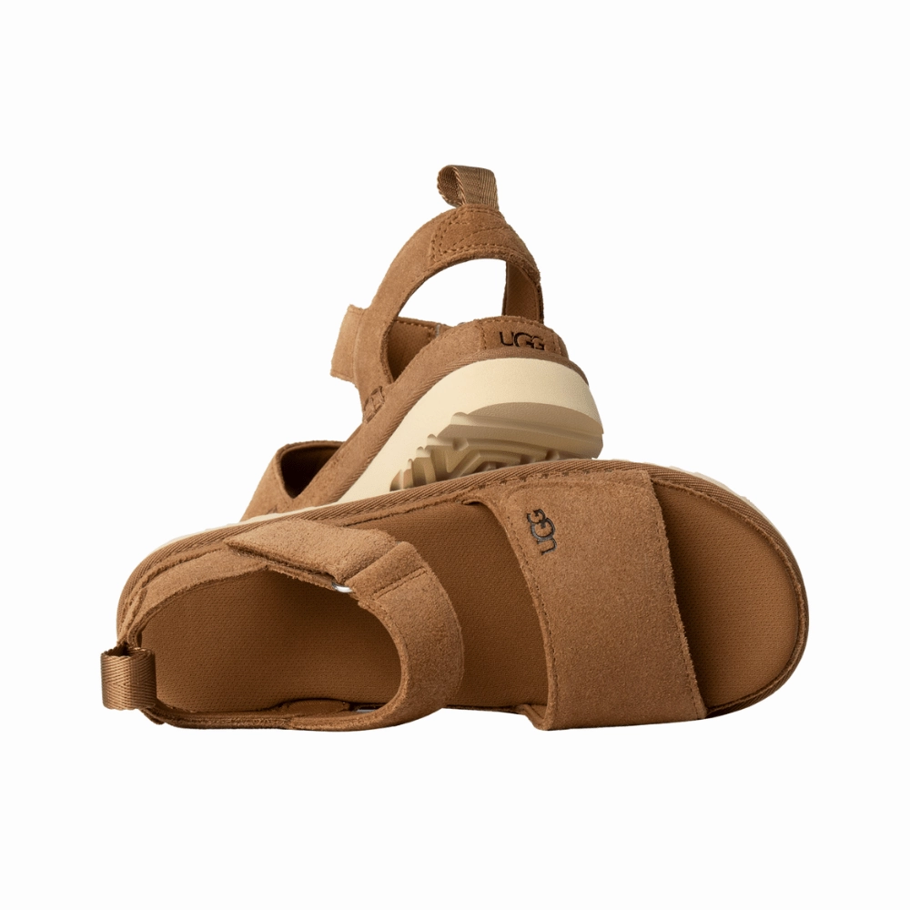 Sun Guard Good Traction Goldenstar | Women | Suede | Chestnut