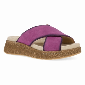 Fantasy Path Trend Hot Bridget | Burnished Suede | Plum