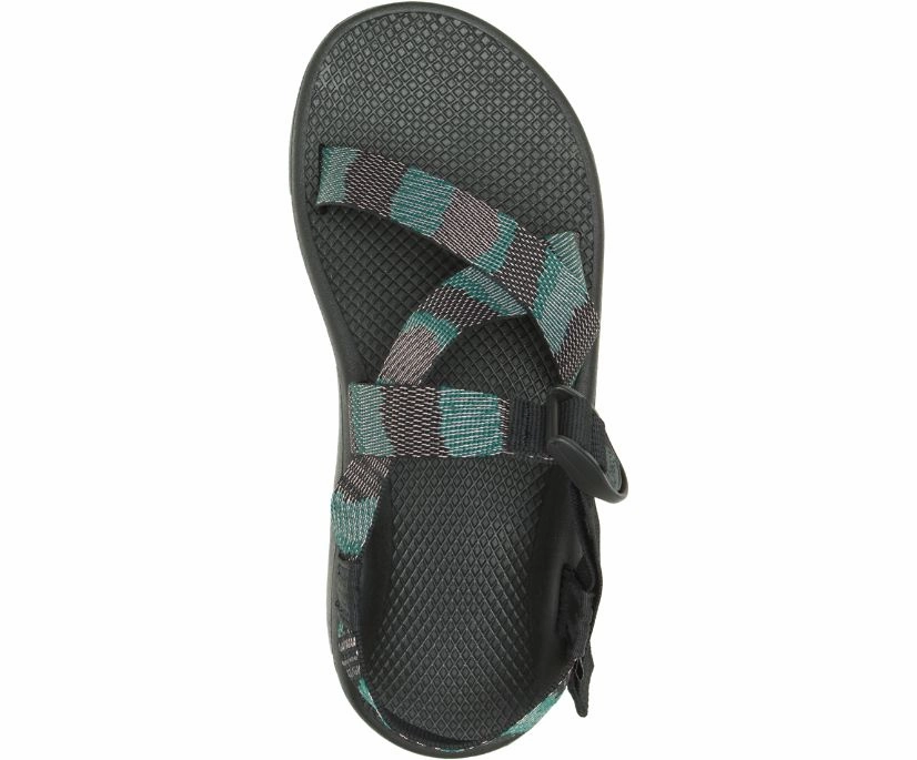 JCH107901 Chaco Men's ZCloud Spring Shine