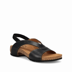 Venture | Leather | Black Star Walk