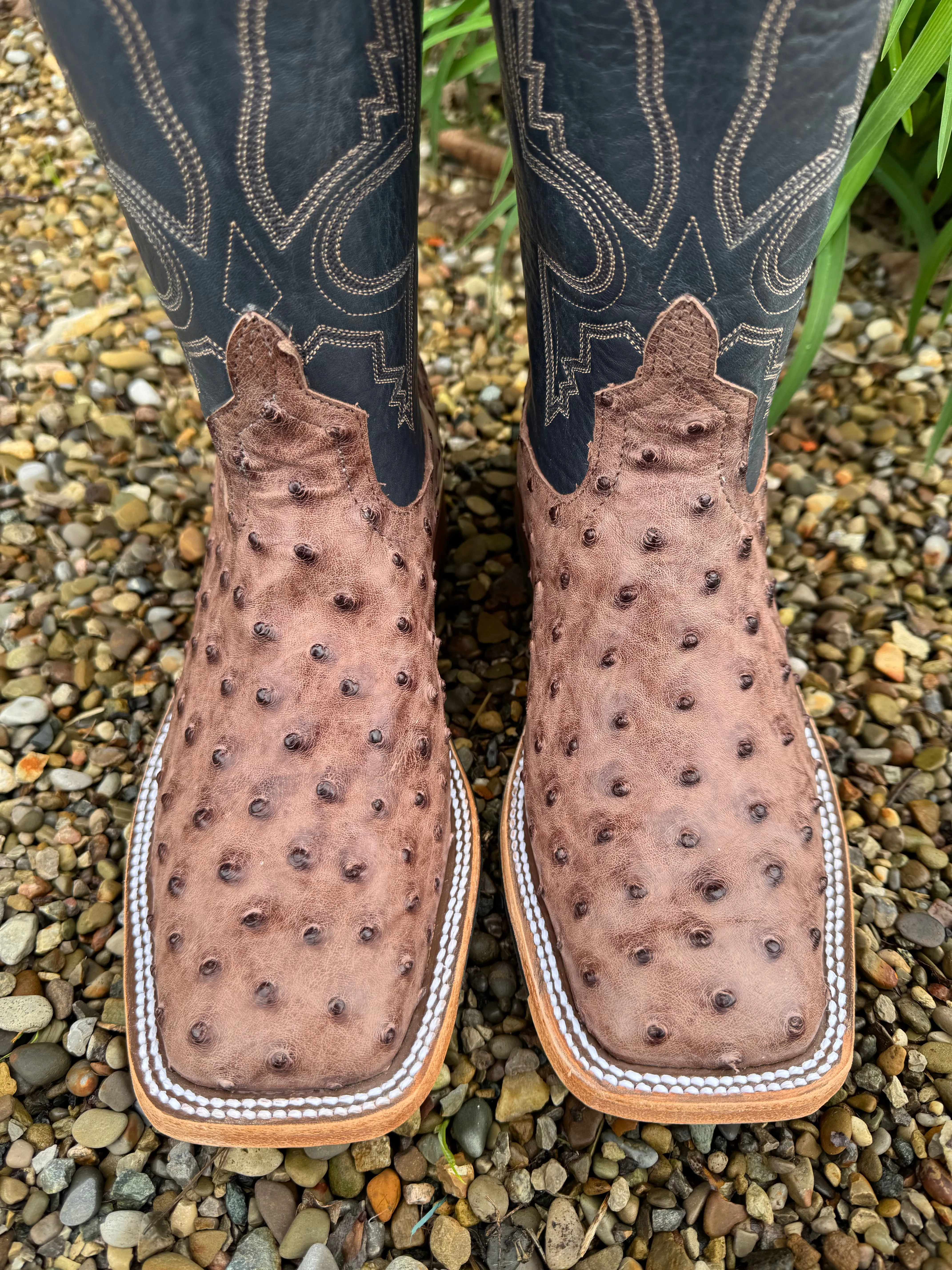 Comfortable ankle Anderson Bean Men's Kango Tobacco Bruciato Full Quill Ostrich & 10 Navy Bulldozer Top Square Toe Cowboy Boots 360197