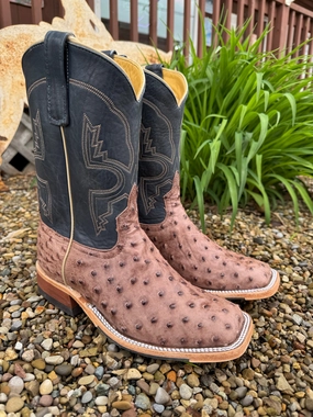 Puddle Safe Anderson Bean Men's Kango Tobacco Bruciato Full Quill Ostrich & 10 Navy Bulldozer Top Square Toe Cowboy Boots 360197