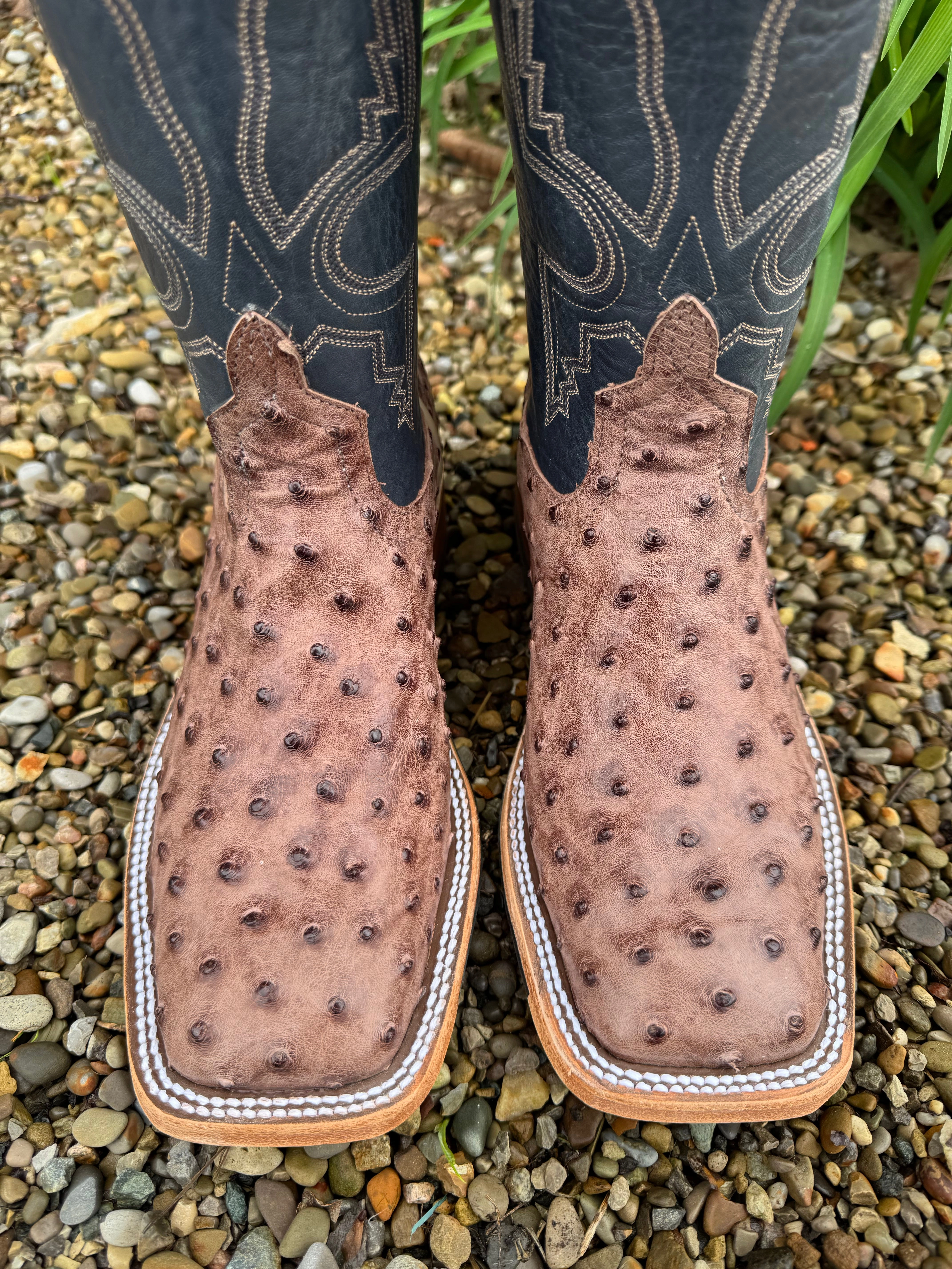Comfortable ankle Anderson Bean Men's Kango Tobacco Bruciato Full Quill Ostrich & 10 Navy Bulldozer Top Square Toe Cowboy Boots 360197