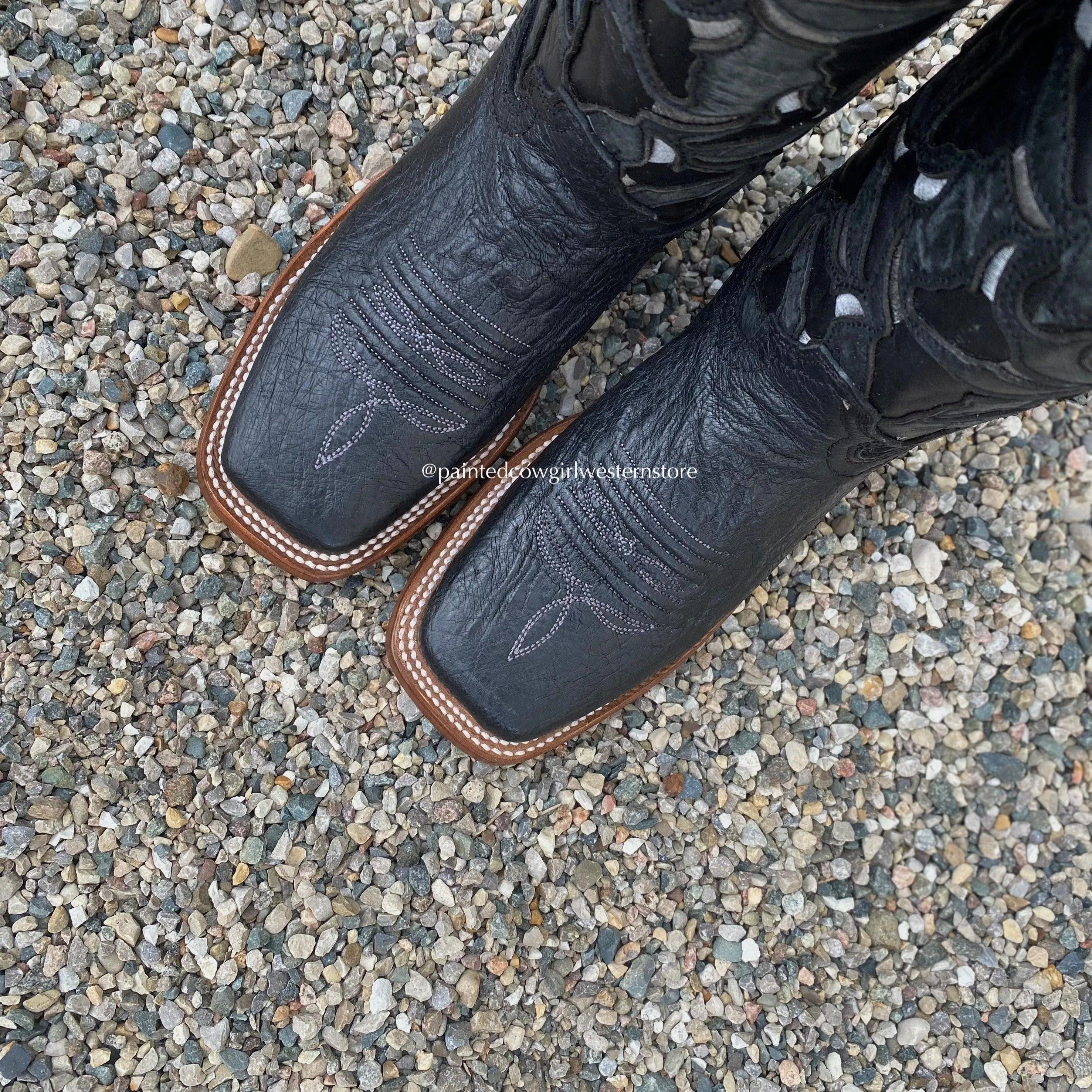 Comfortable Feel City Wear Corral Women's Black Smooth Quill Ostrich Steer Head Embroidered Square Toe Cowgirl Boots A4058