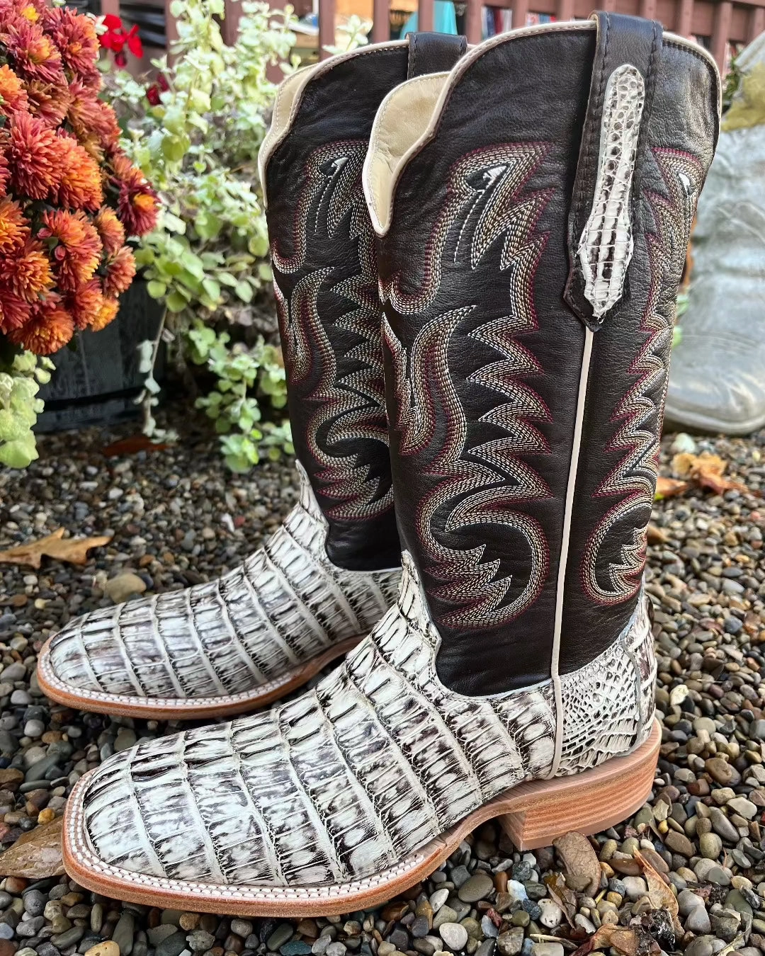 Durable Construction Elastic Collar R. Watson Men's Orix Hornback Caiman Tail Square Toe Cowboy Boots RW3013-2