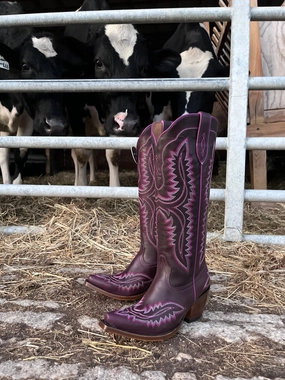 Ariat Women's Casanova Deep Amethyst Tall Western Cowgirl Boots 10053649 Northern Resident