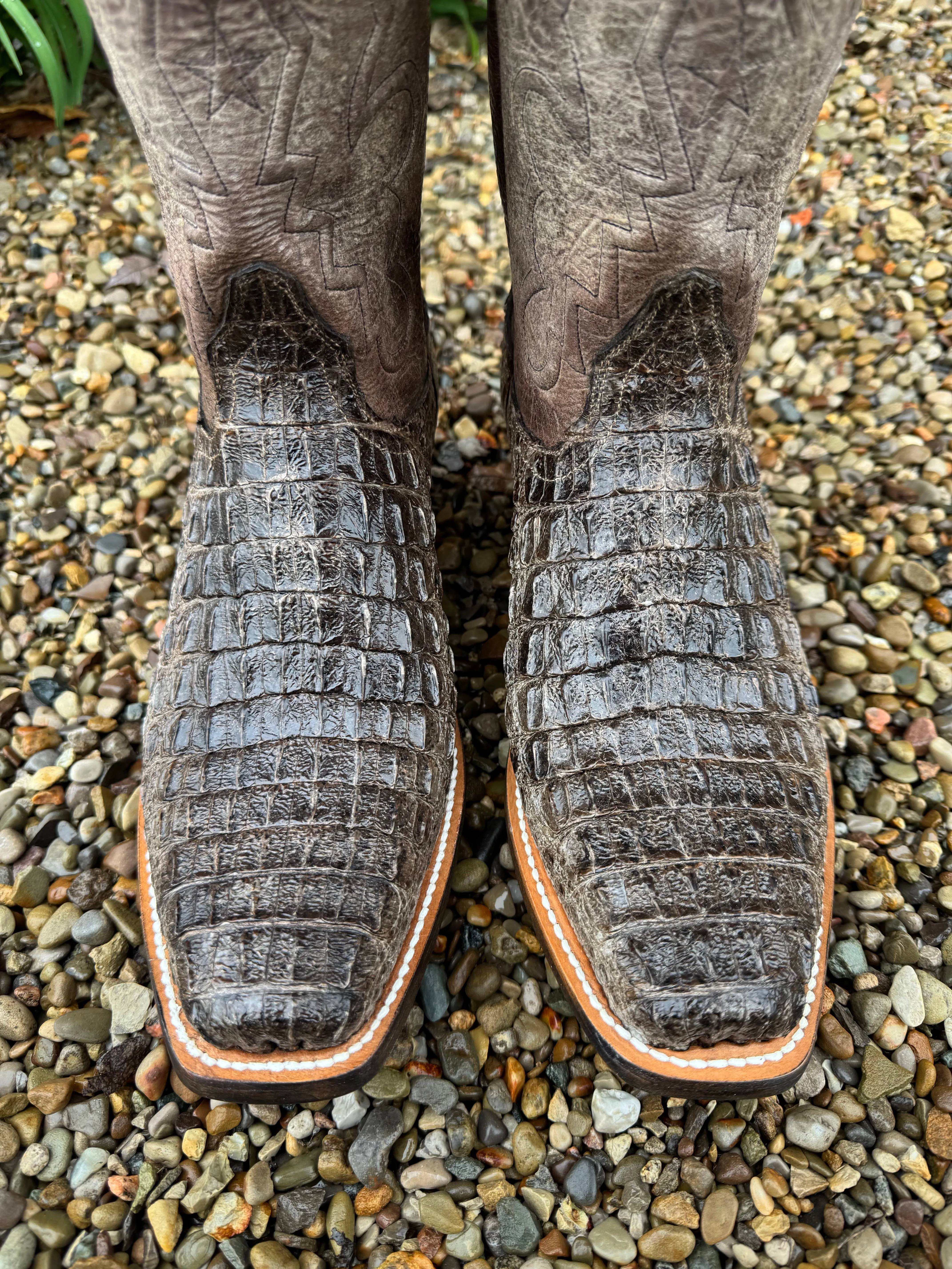 Black Jack Mens Natural Caiman Body Cut Hornback Narrow Square Toe Cowboy Boots NT-77121-V3 Versatile Outfit soft feel