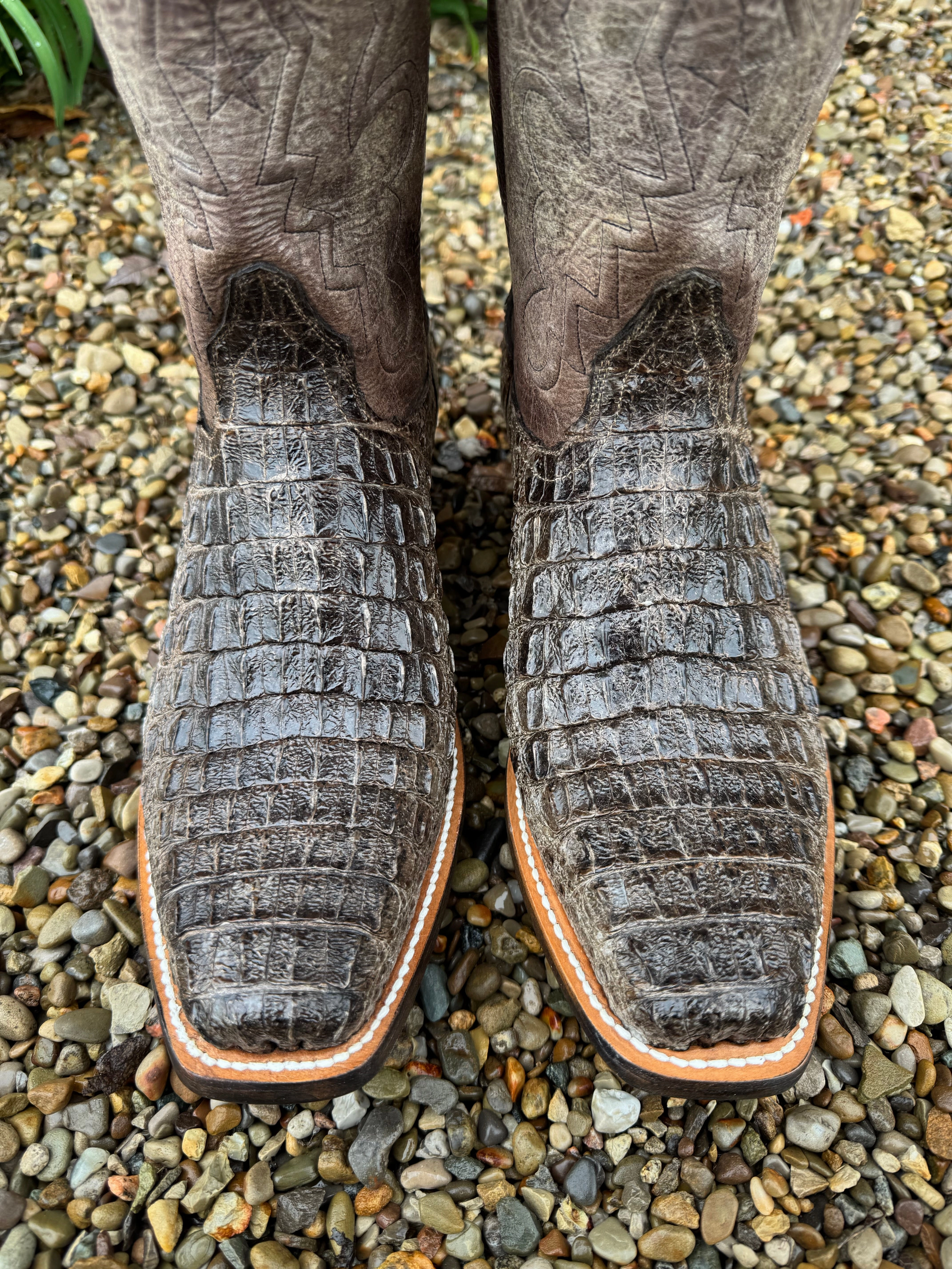 Black Jack Mens Natural Caiman Body Cut Hornback Narrow Square Toe Cowboy Boots NT-77121-V3 Versatile Outfit soft feel