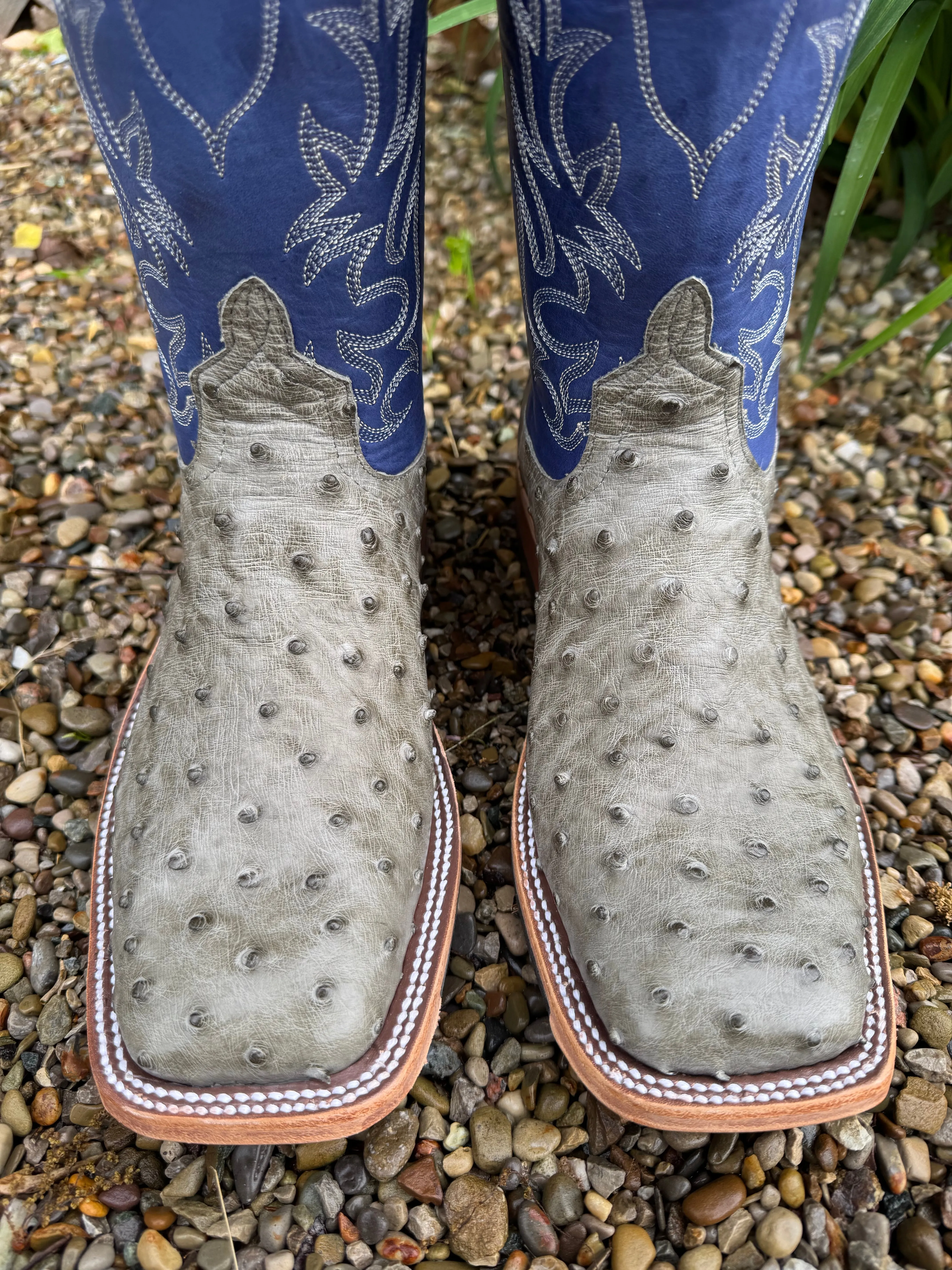 Anderson Bean Men's Mouse Grey Bruciato Ostrich & 10 Royal Blue Top Square Toe Cowboy Boots 339589 Comfortable Step