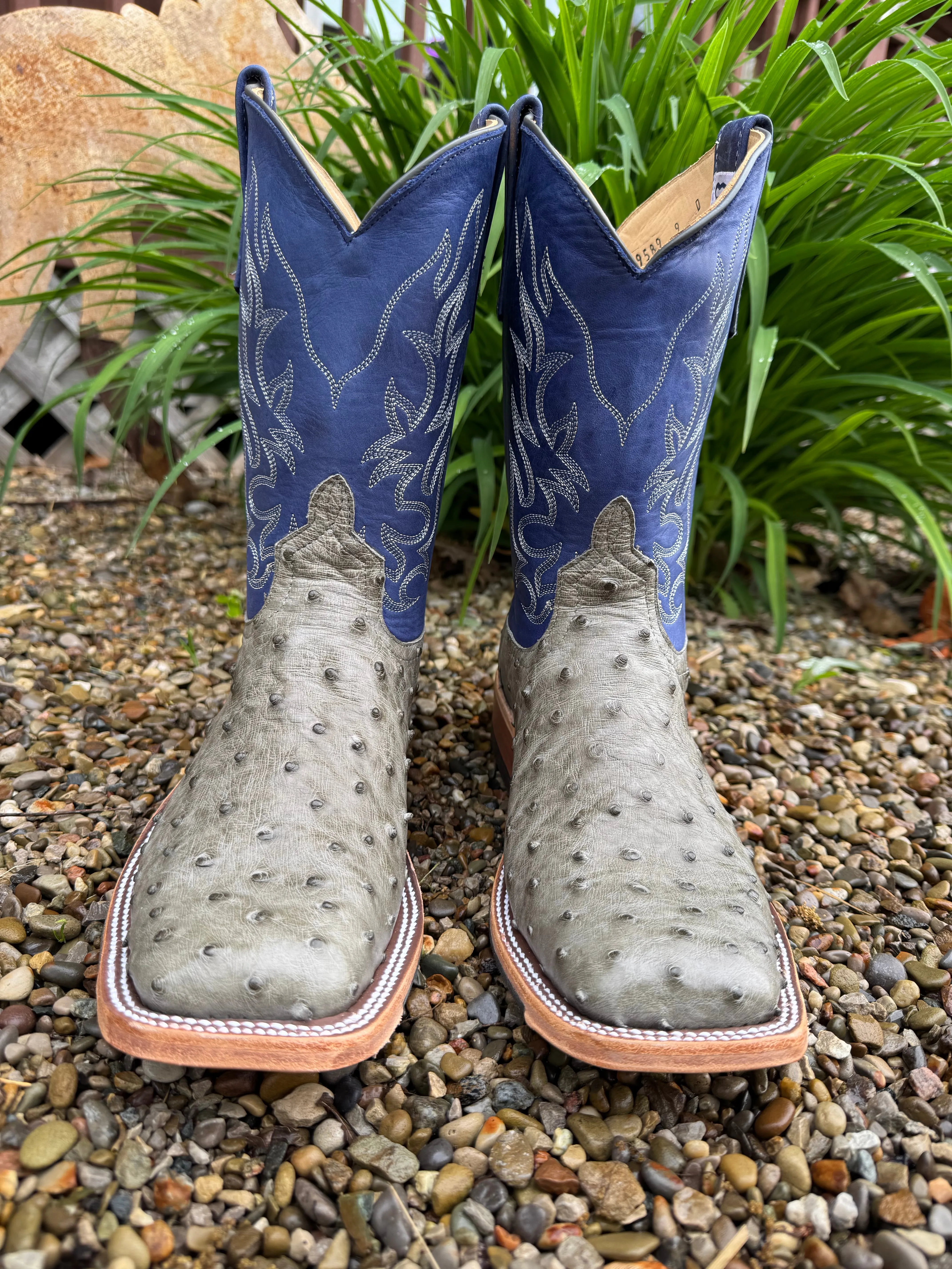 soft feel Anderson Bean Men's Mouse Grey Bruciato Ostrich & 10 Royal Blue Top Square Toe Cowboy Boots 339589