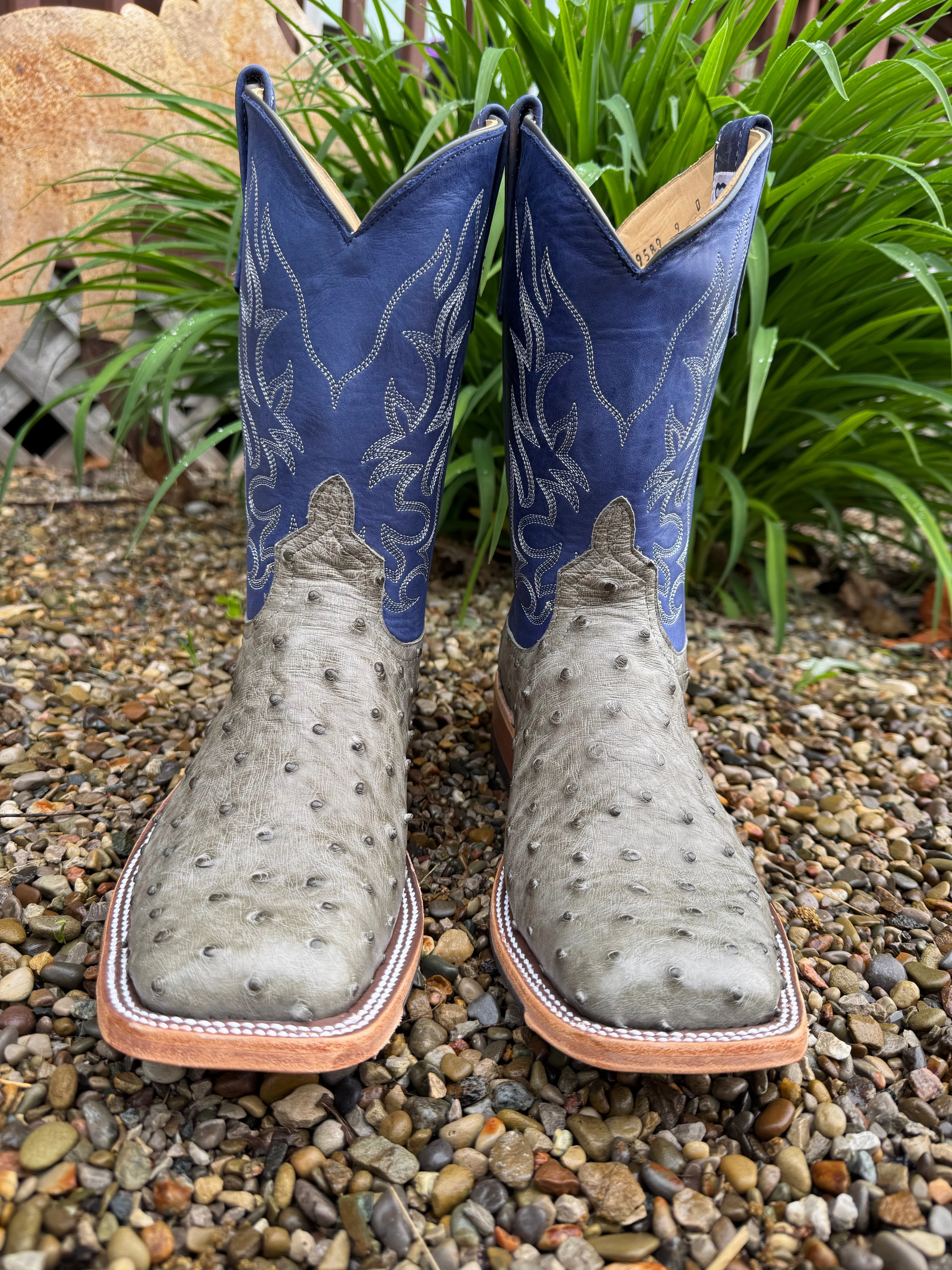 soft feel Anderson Bean Men's Mouse Grey Bruciato Ostrich & 10 Royal Blue Top Square Toe Cowboy Boots 339589