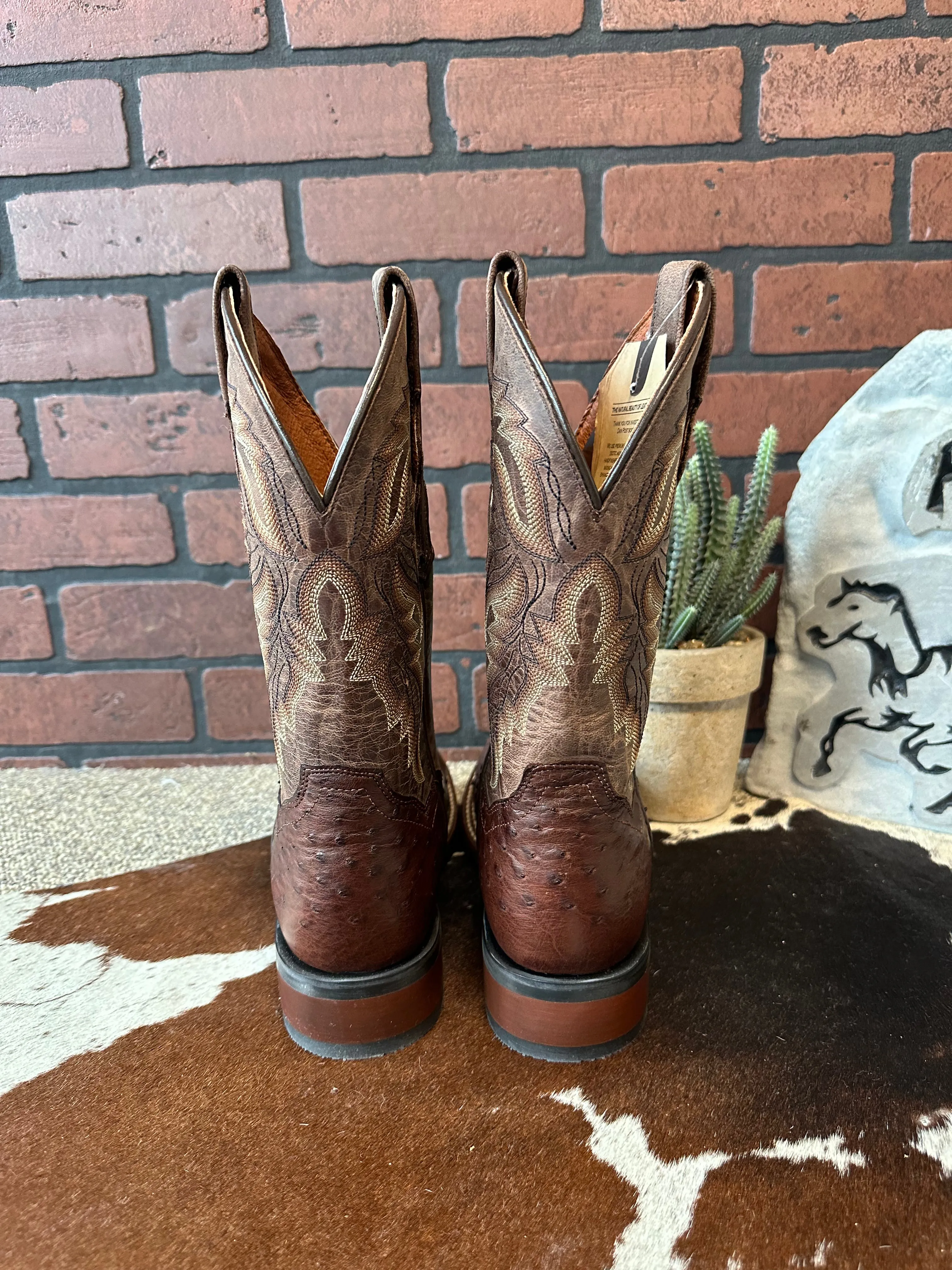 Dan Post Men's Alamosa Full Quill Ostrich Square Toe Cowboy Boots DP3875 Sleek Outline Run Errand